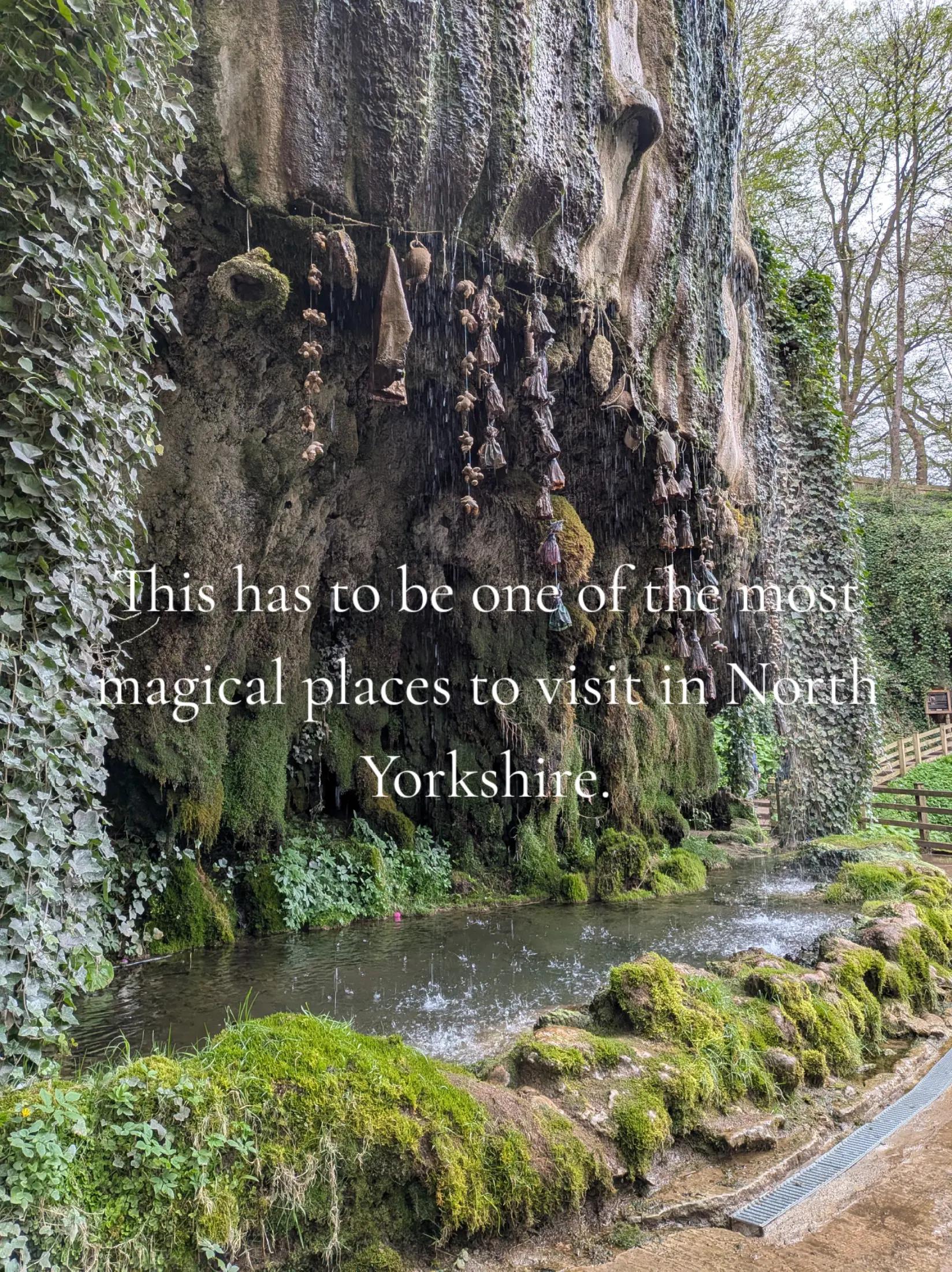 @the travelling witches