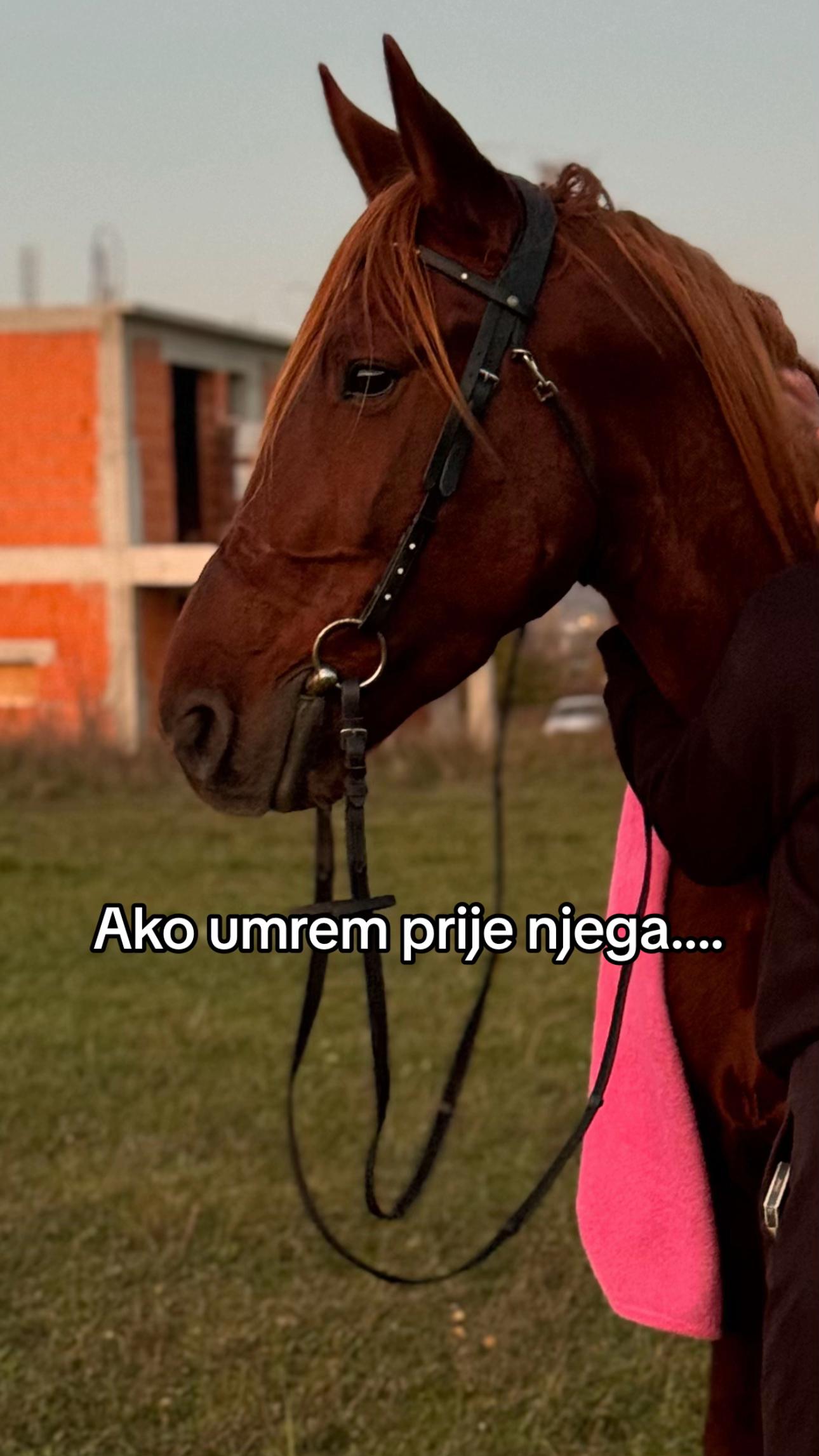 @Charm