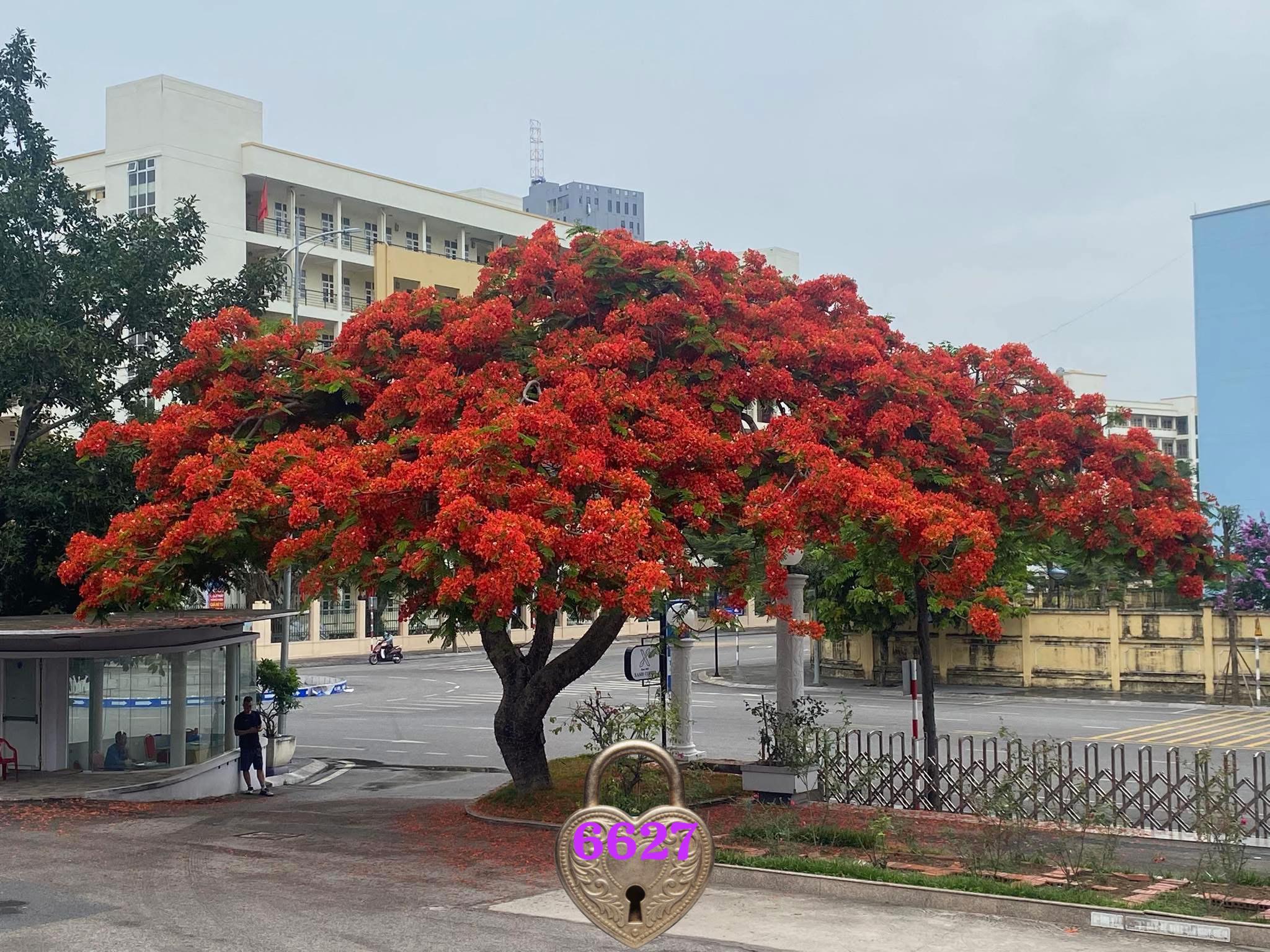 @Phạm Văn Thảo