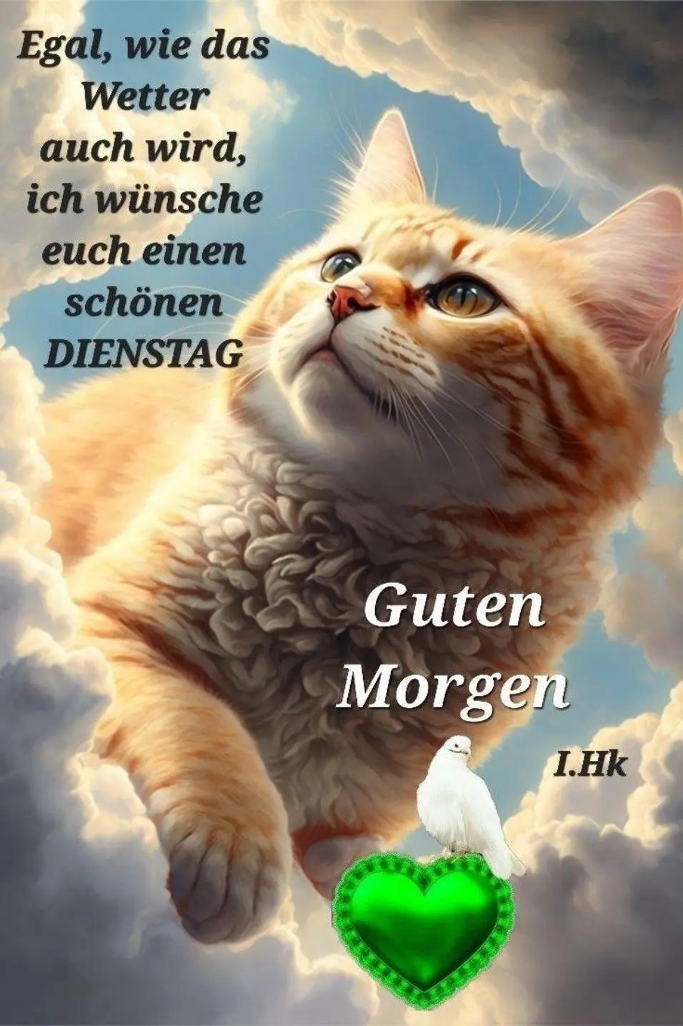 @Bernd ku