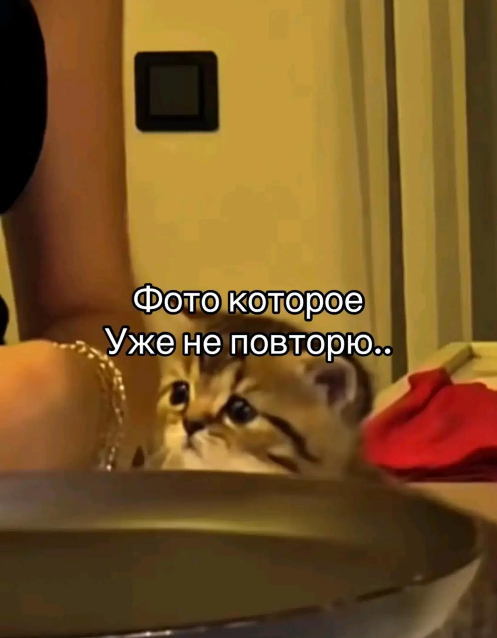 @Машуля🪽