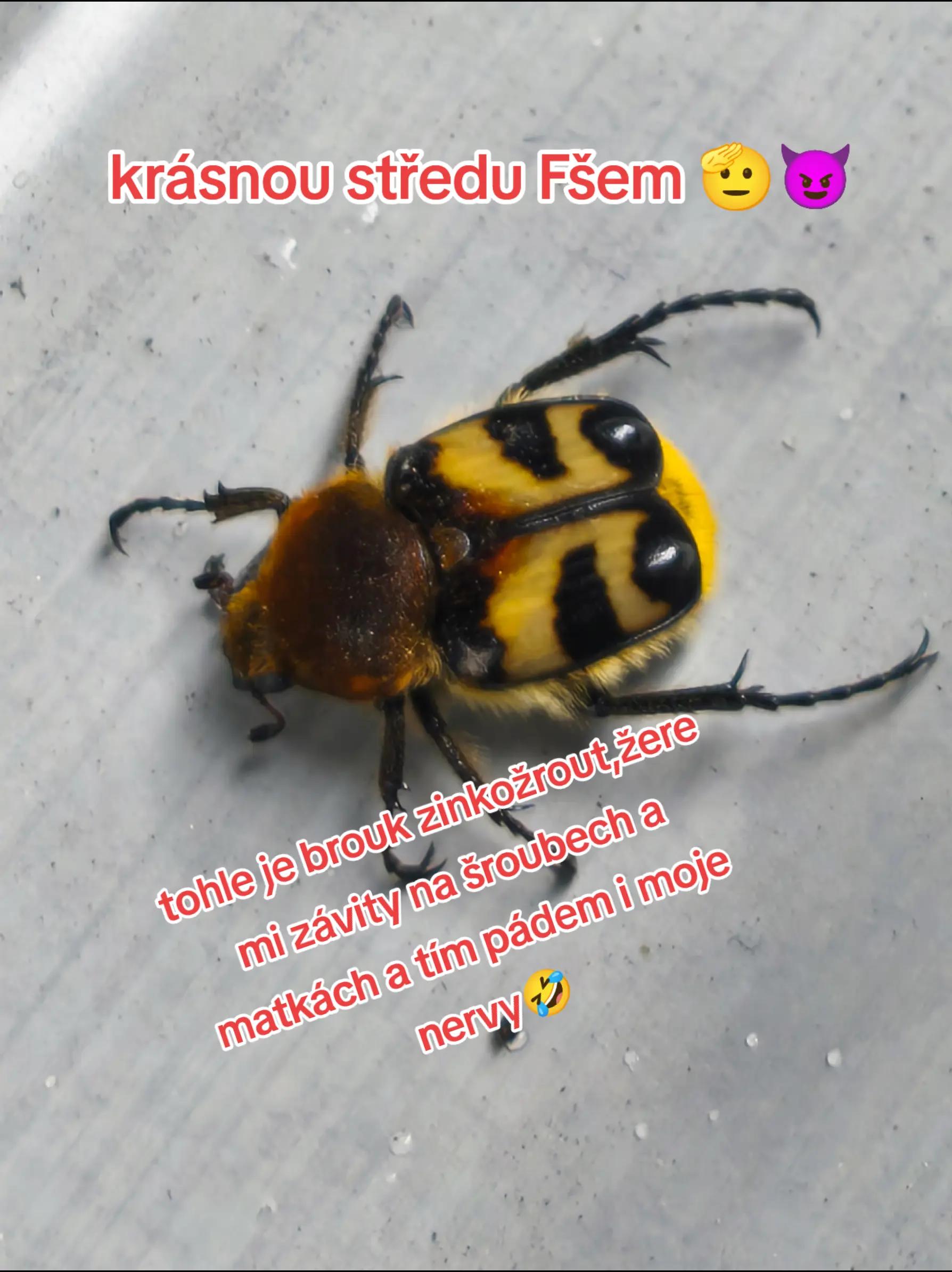 @😈𝕯𝕰𝕸𝕺𝕹𝕸𝕬𝕽𝕿𝕬𝕾😈