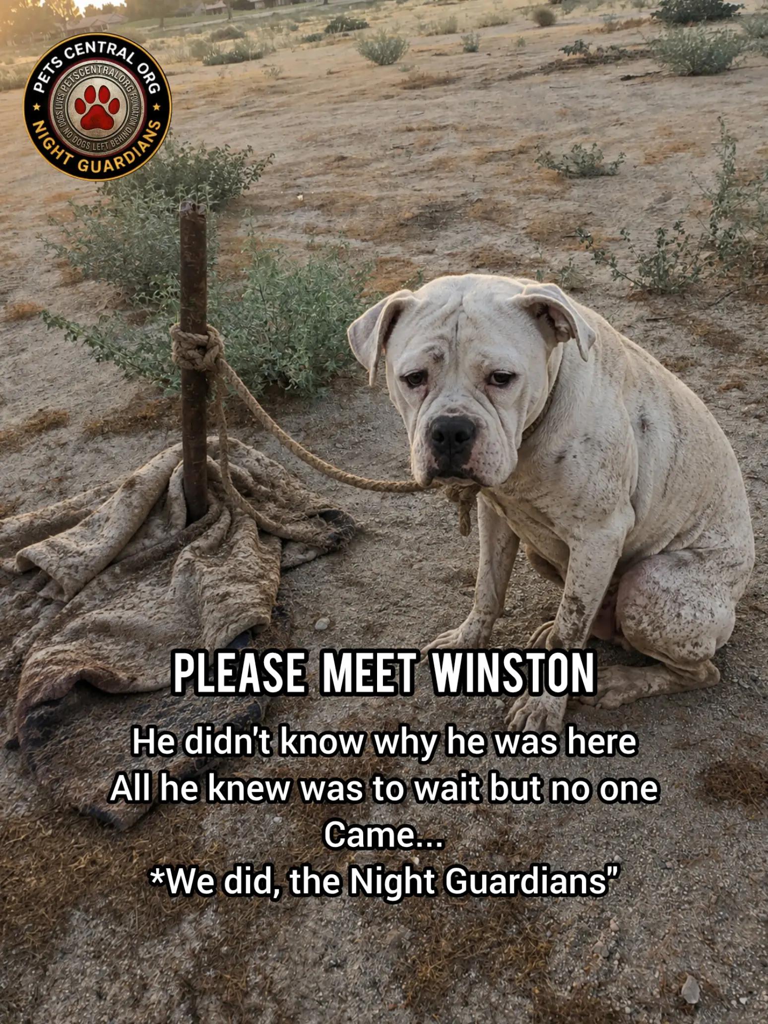 @Petscentralorg DLM Foundation