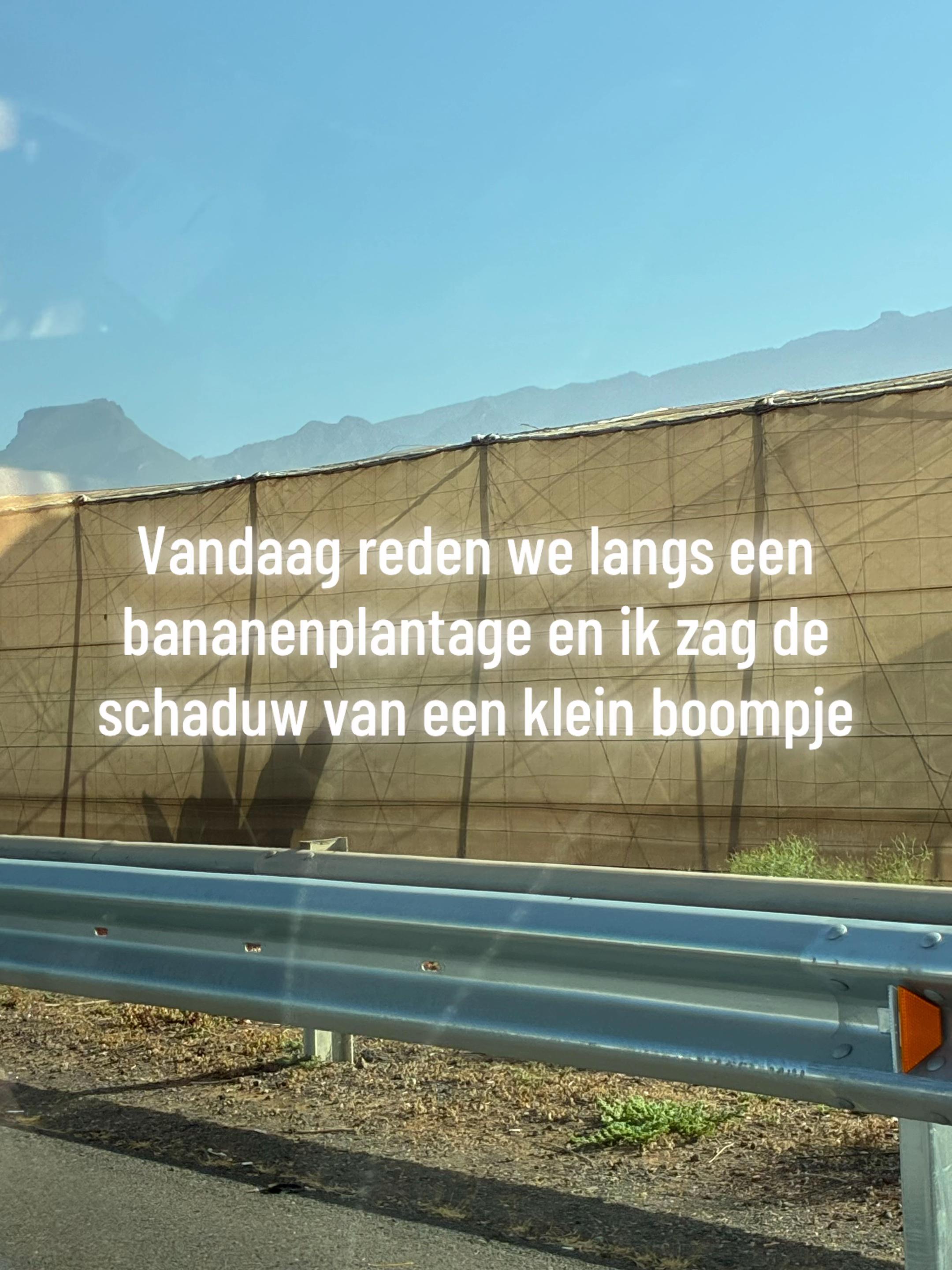 @Toneeljuf Tania