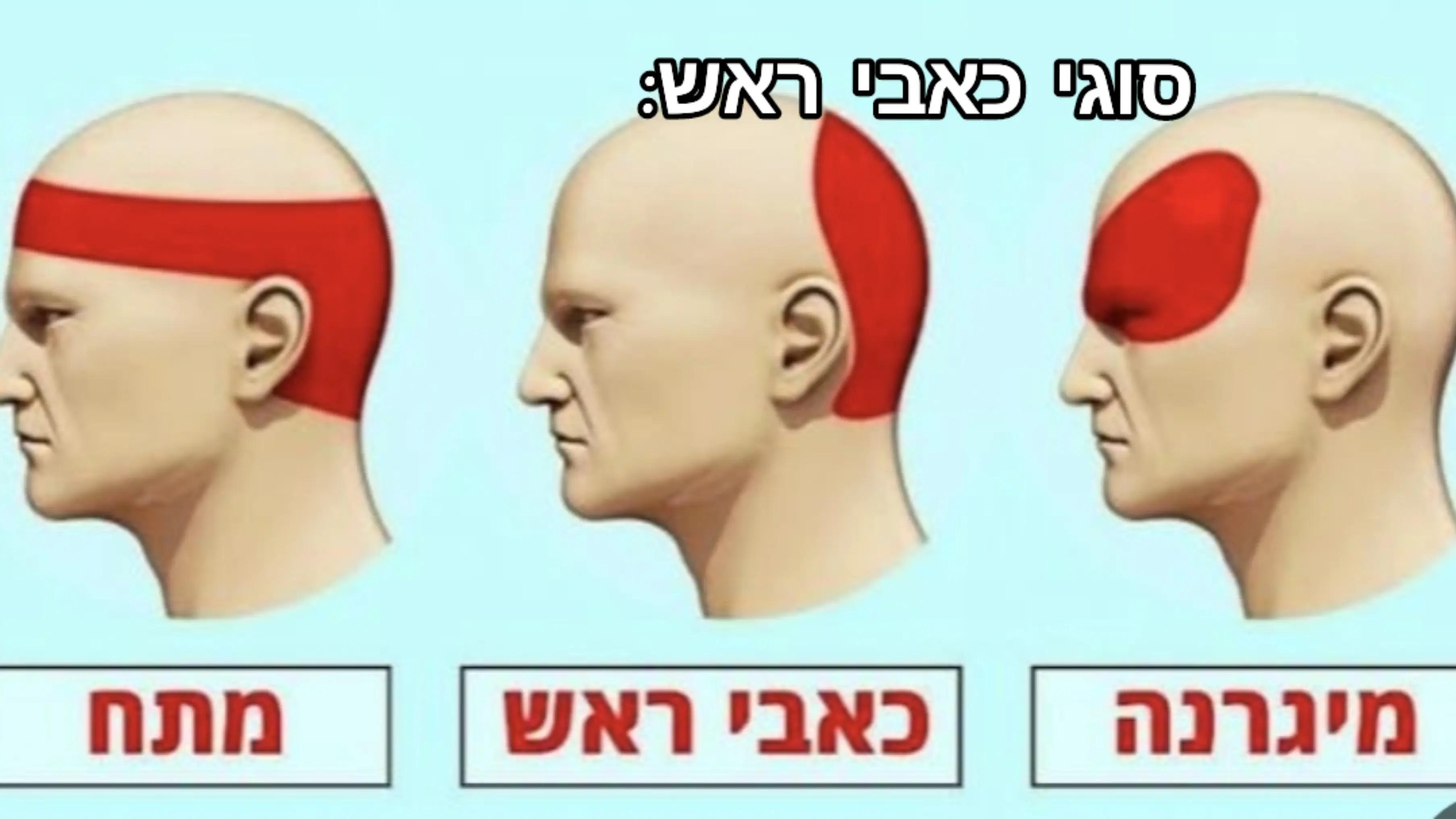 @עמוד הייט לבית ספר