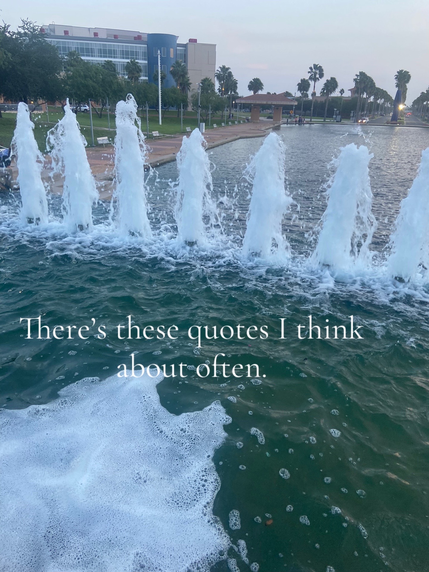 @⋆。˚꒰ঌ𝒞𝒽𝒶𝓃 ໒꒱˚。⋆