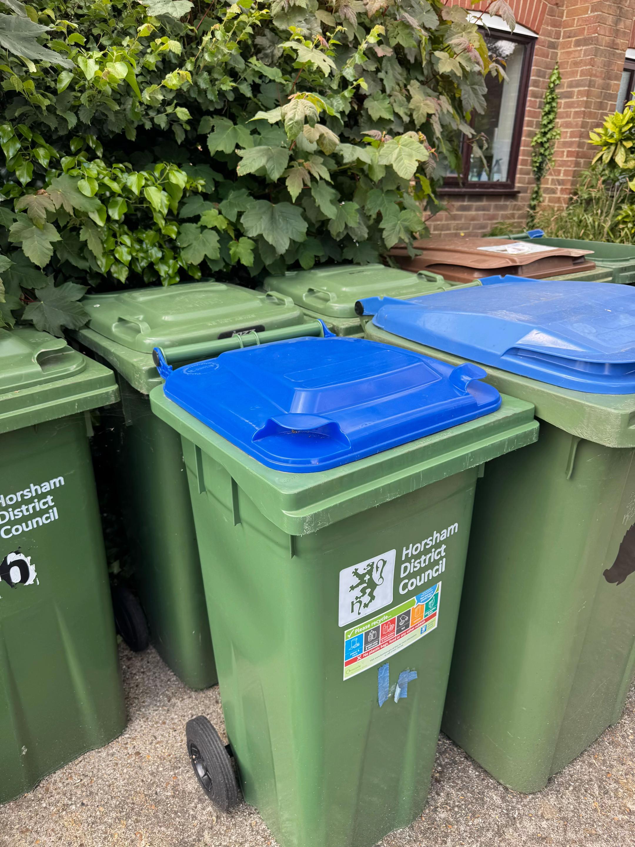 @Sussex Bin Lorrys