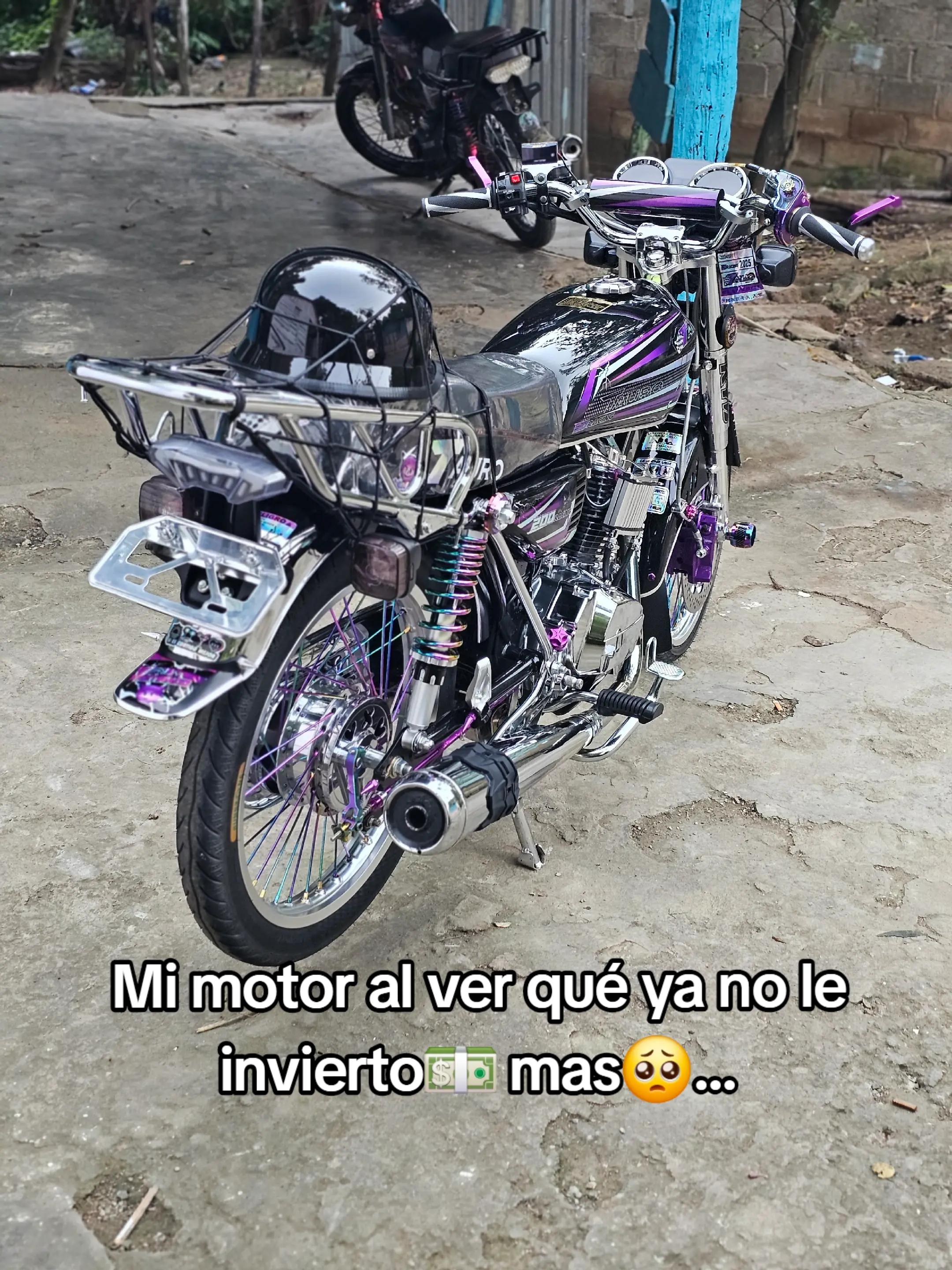 @El Tauro ex&oacute;tico&sup2;⁰&sup2;⁵