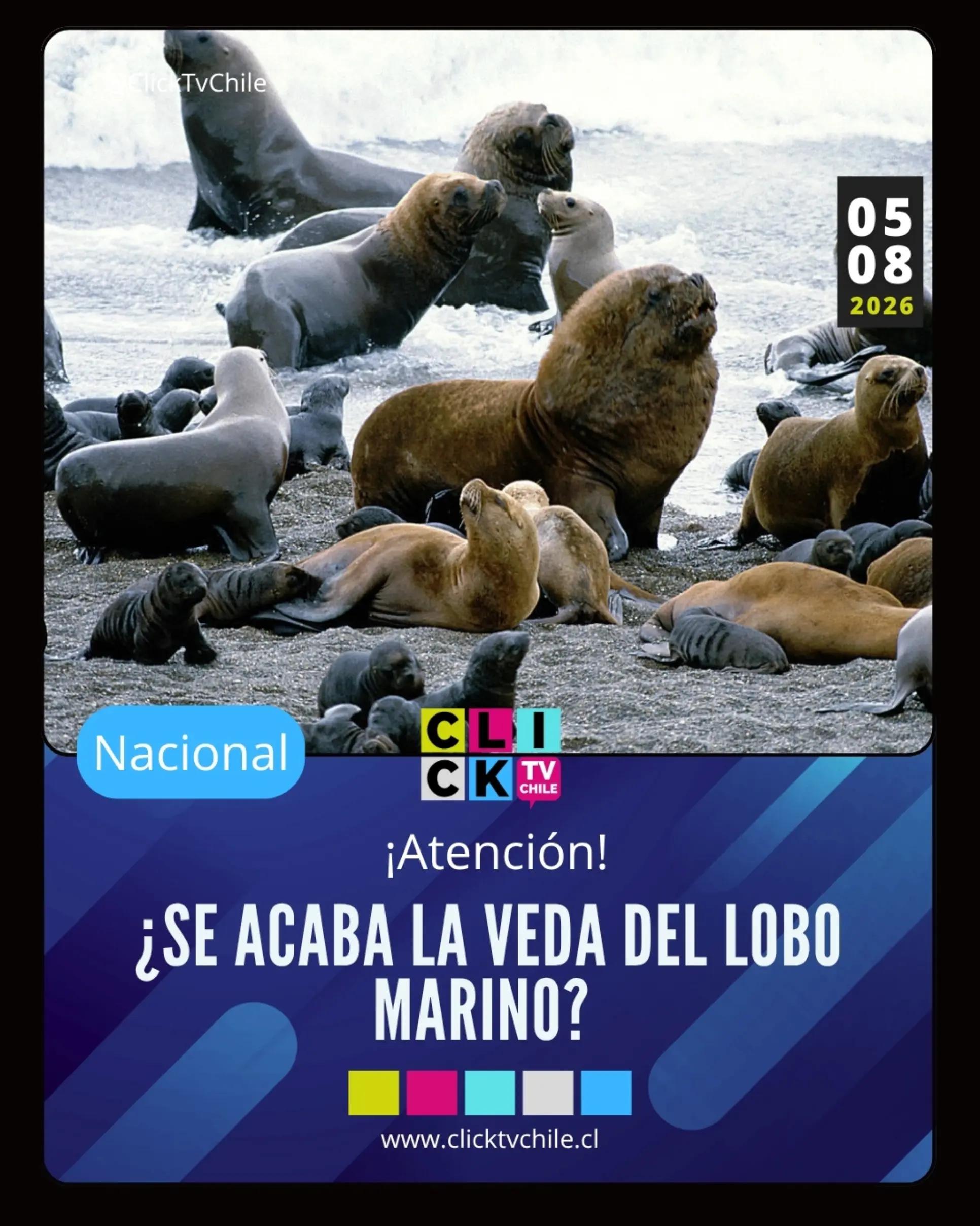 @ClickTv Chile