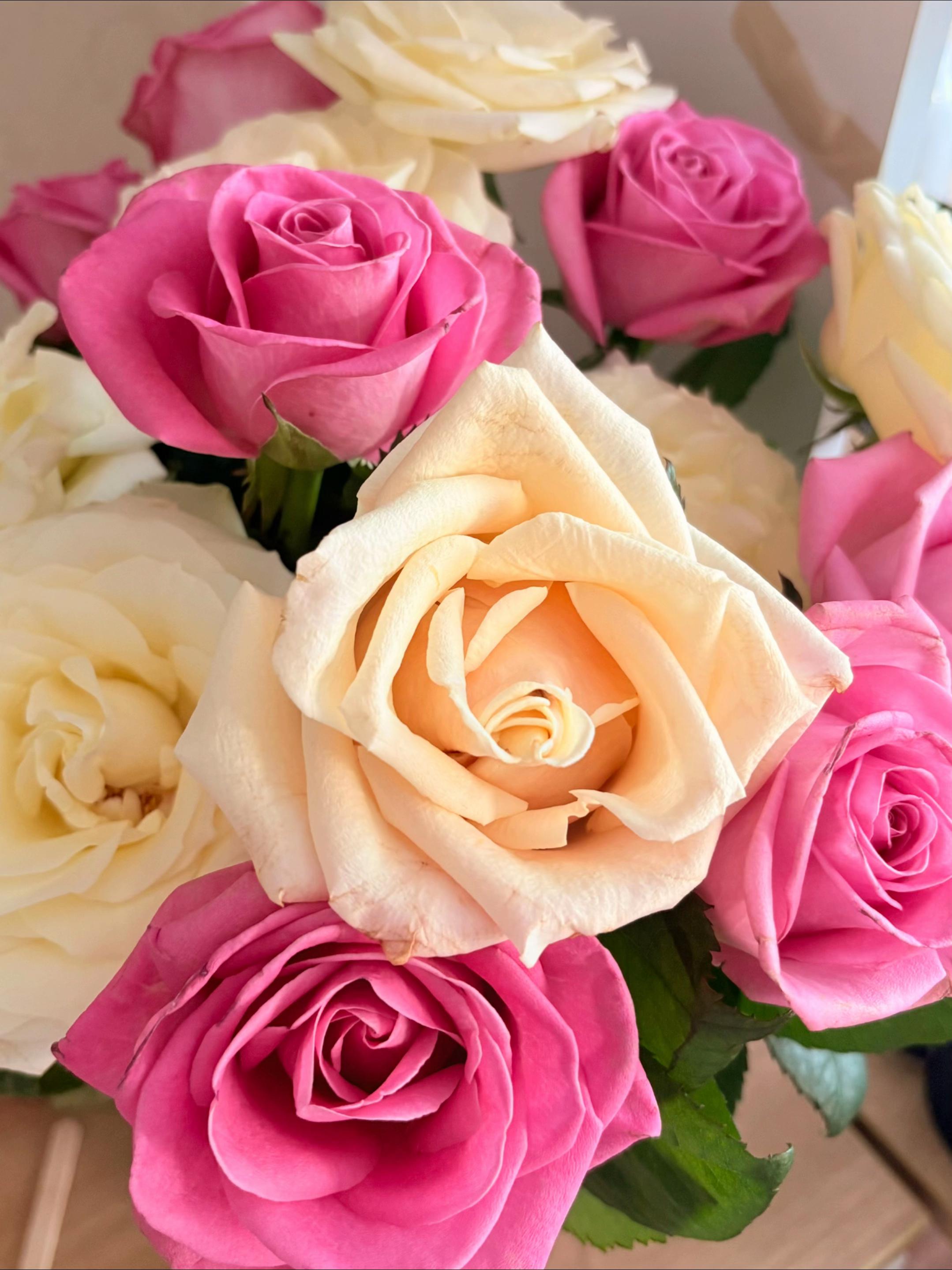 @𝒎𝒂𝒍𝒆𝒄𝒉𝒌𝒂𝒊𝒊 ⋆