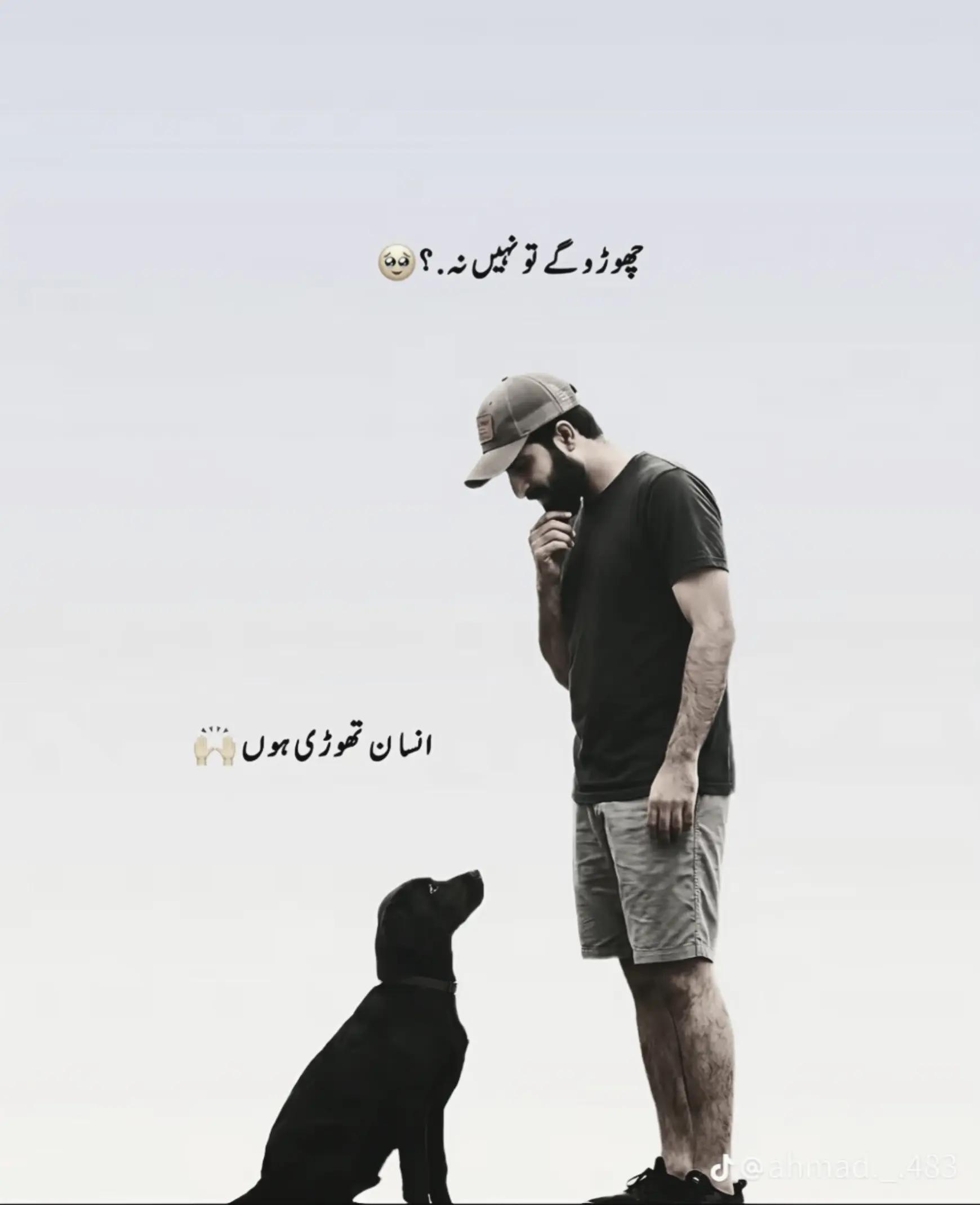 @Naveed Jan