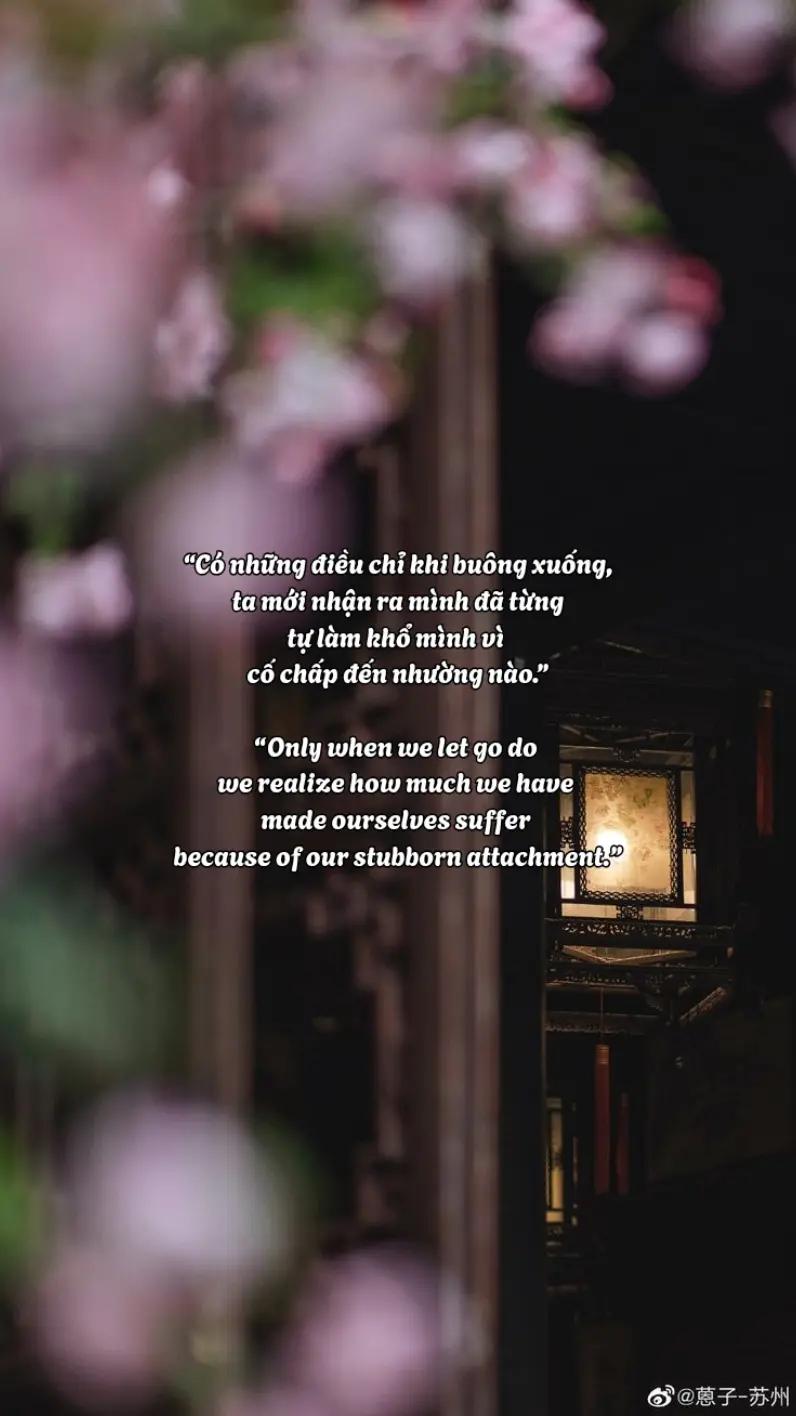 @hạt giống tâm hồn🌱