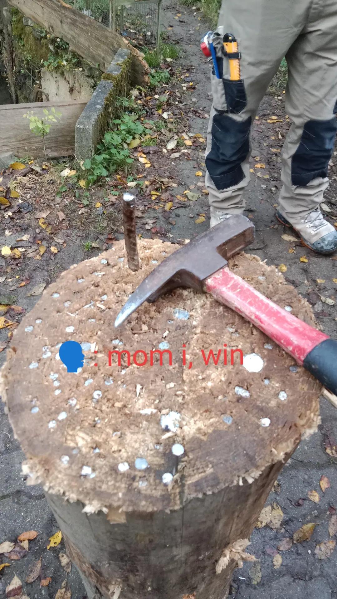 @Forst_Husky_Eli🌲💪🤟🇦🇹