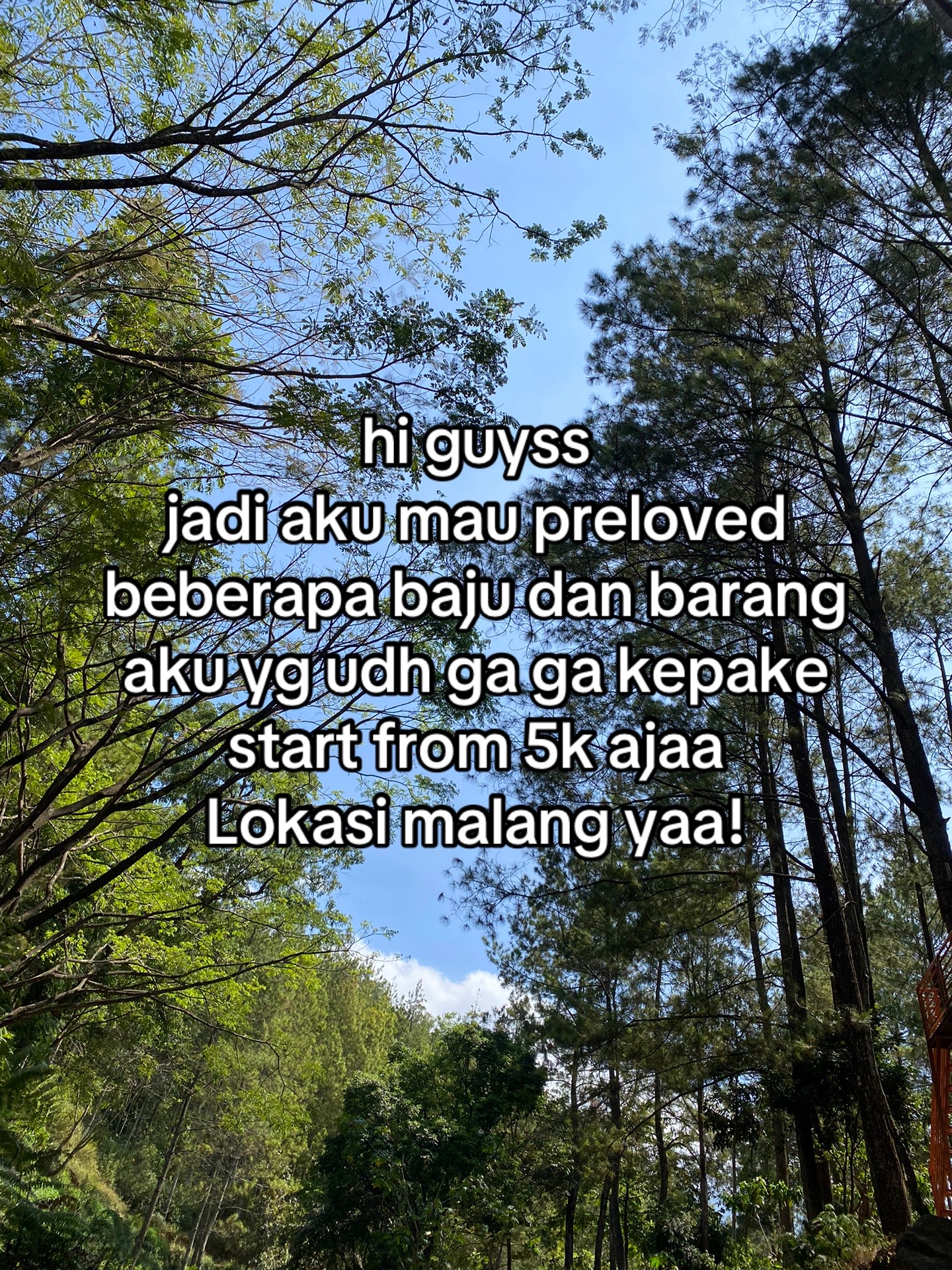 @wh0isy0u5_