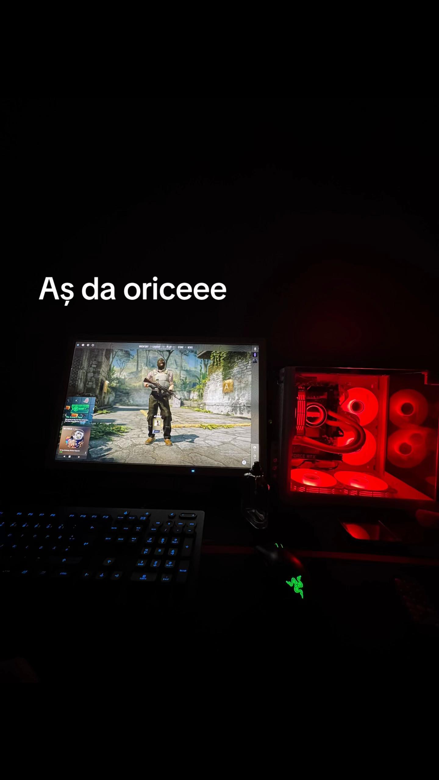 @Regele👑🦍