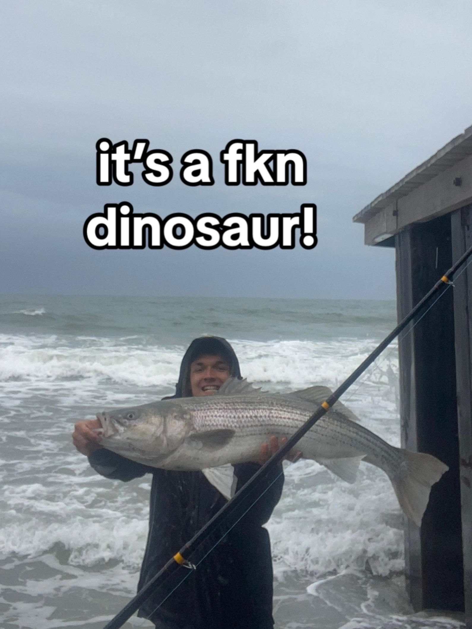 @Fish The East