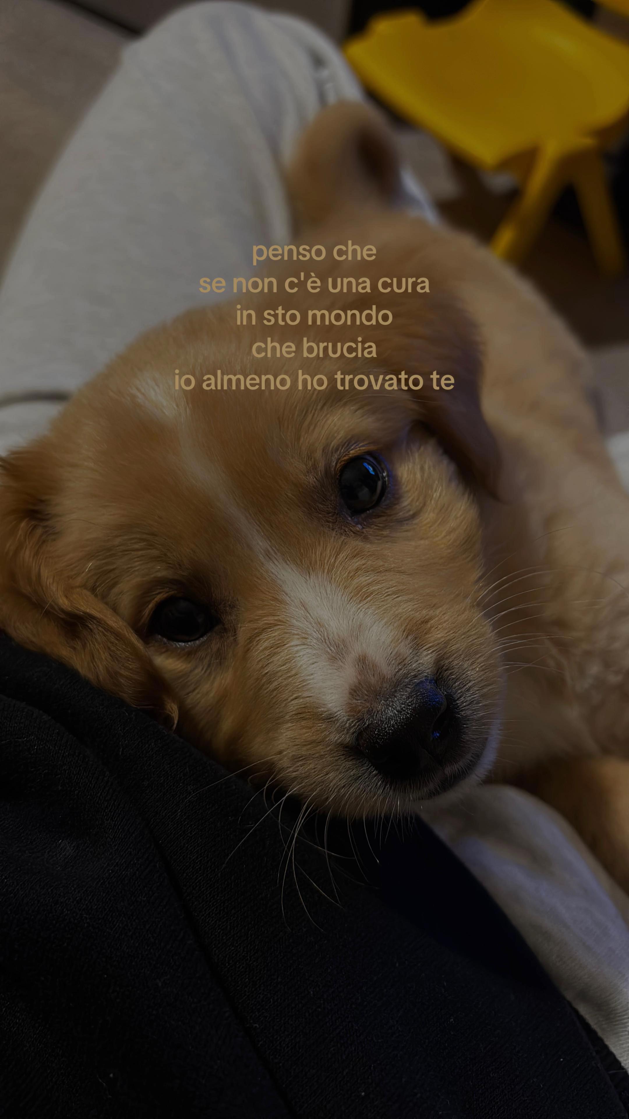 @sarah