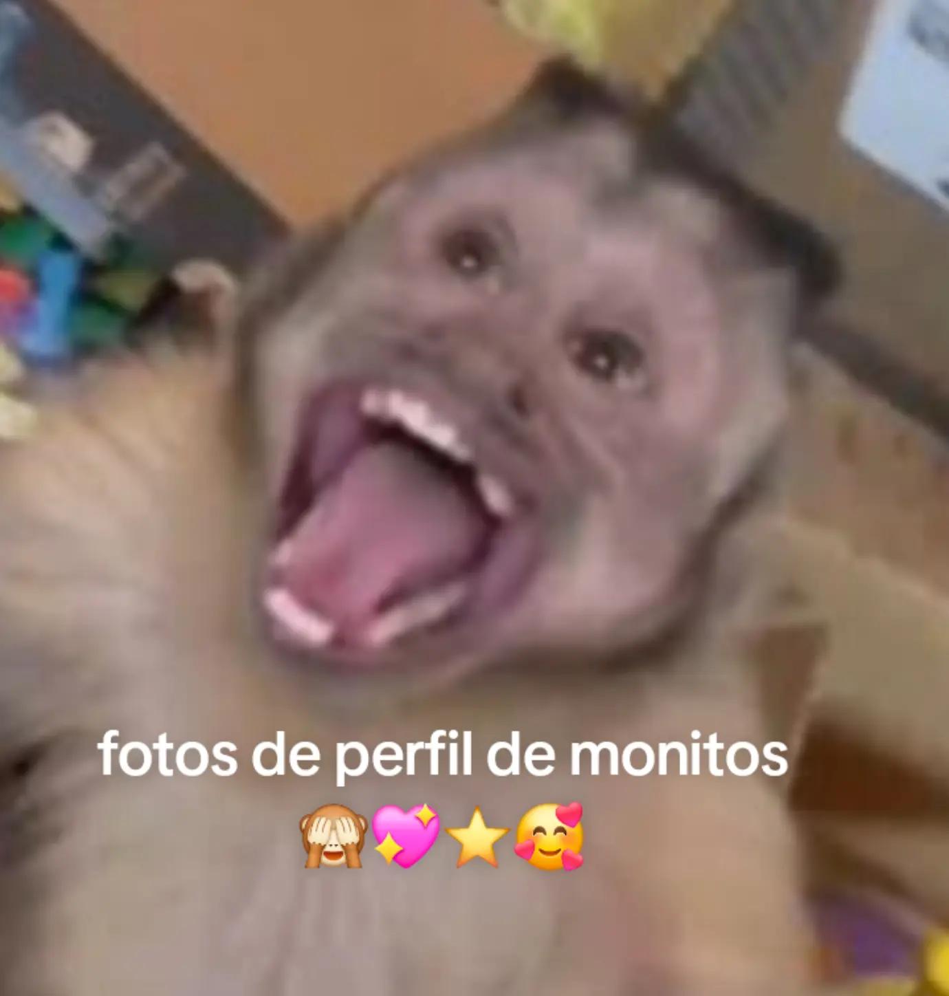 @ℙ𝕣𝕚𝕤𝕔𝕚𝕝𝕒🥰❤️🙉🙈🍌