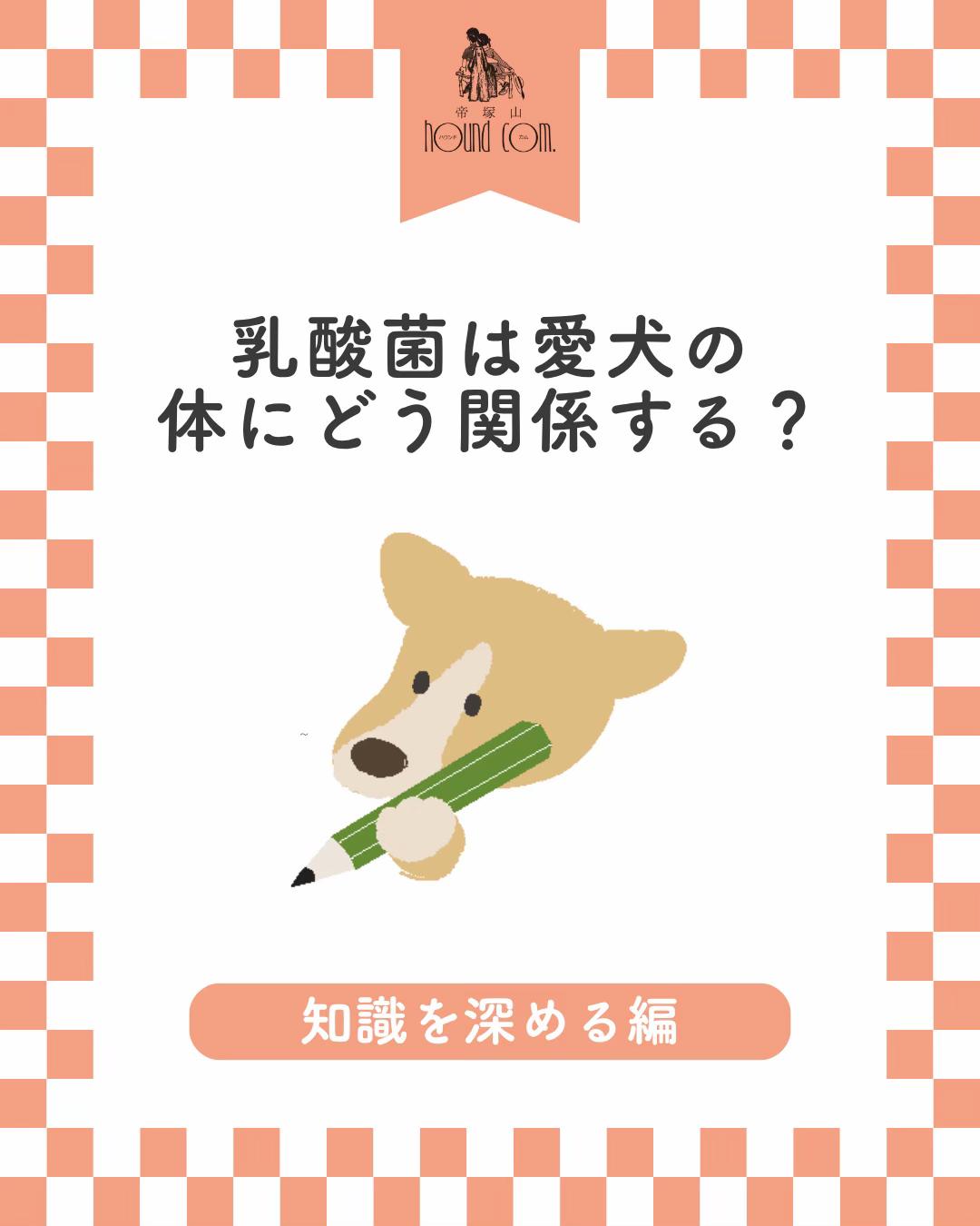 @帝塚山ハウンドカム