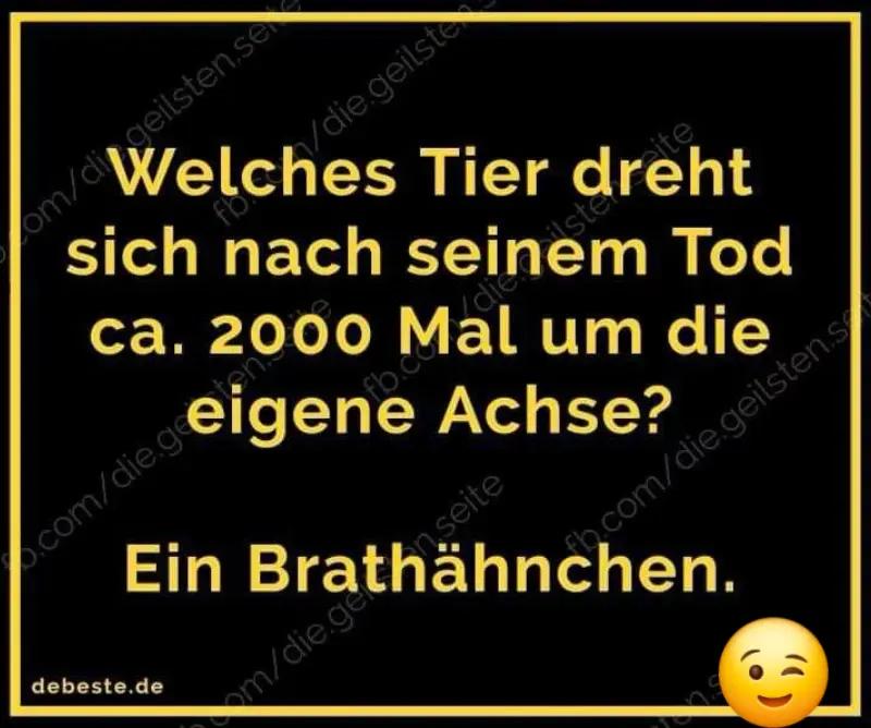 @😜HaveFun 2.🇩🇪 Team 1701 🛸
