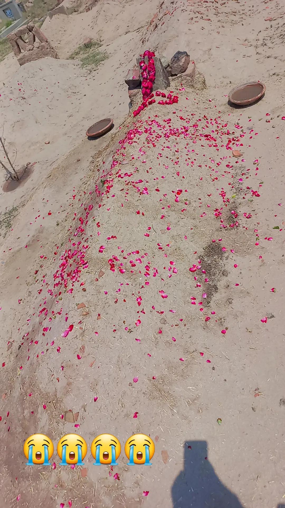 @Irfan laliya 🇵🇰
