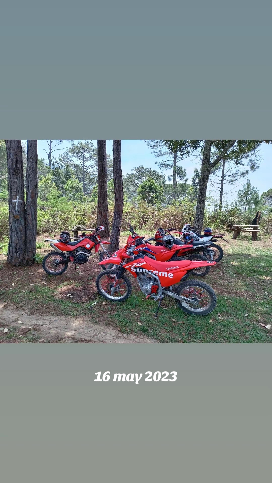 @guillen_503_sv 🇸🇻