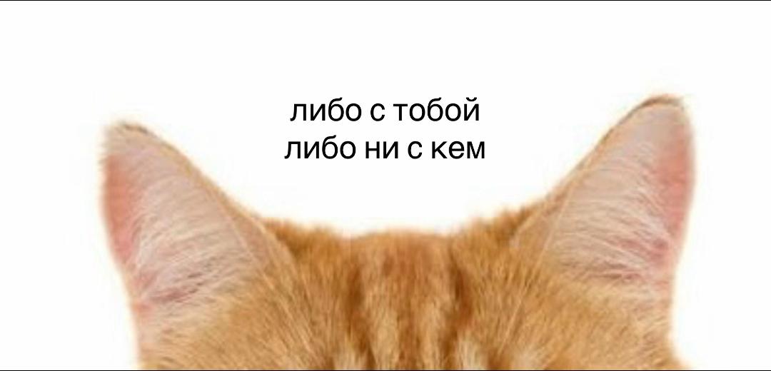 @excus3d1