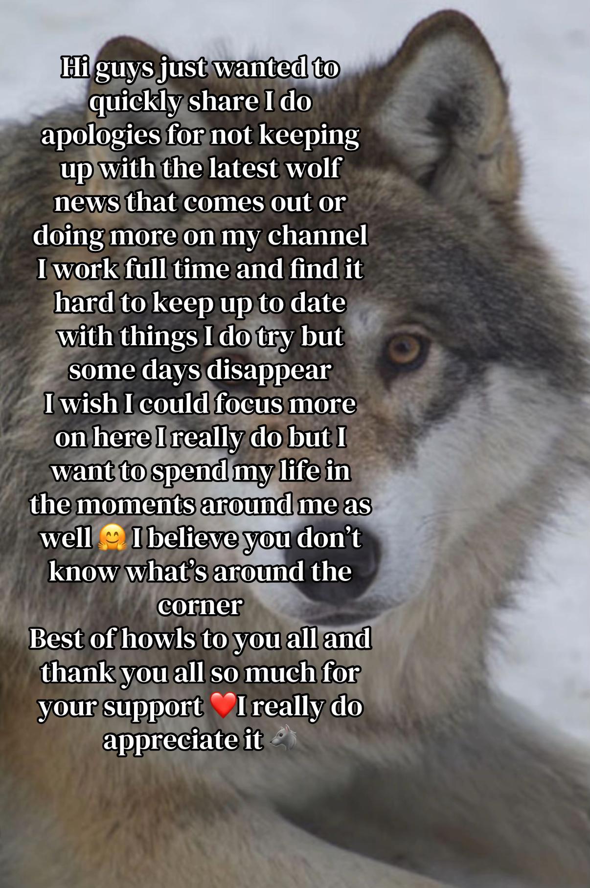 @Ellie&rsquo;s Wolf Travel 🐺
