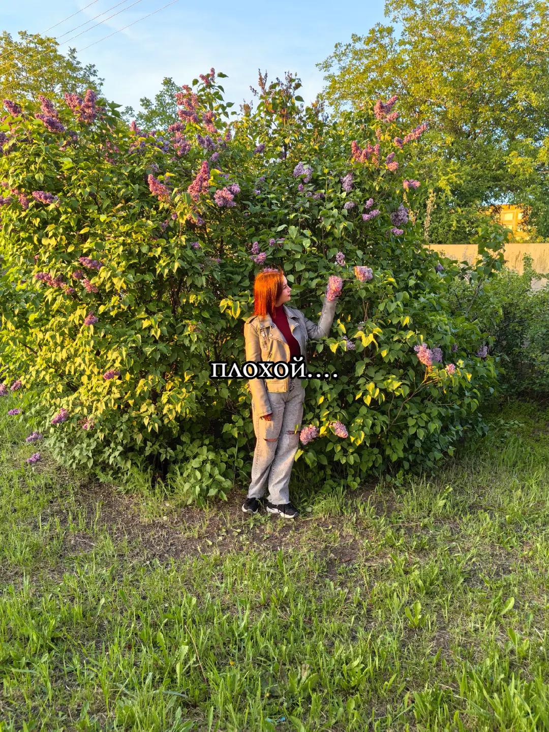 @𝓙𝓾𝓵𝓲𝓬𝓱𝓴𝓪 🐍