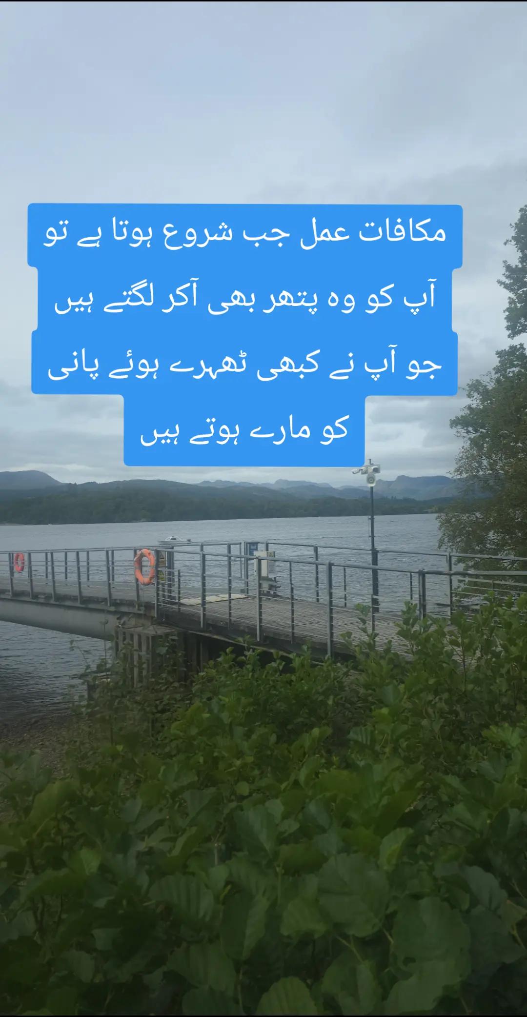 @🇬🇧Ayaan 🇬🇧
