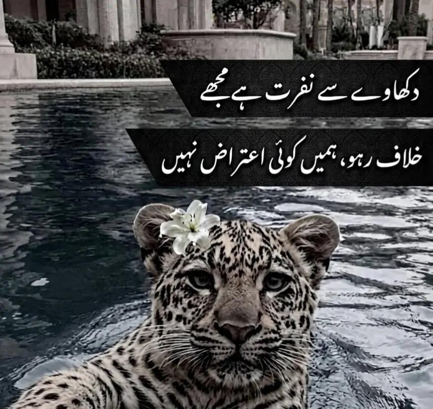@@u.Lost.AFSROO.🙌🖐️