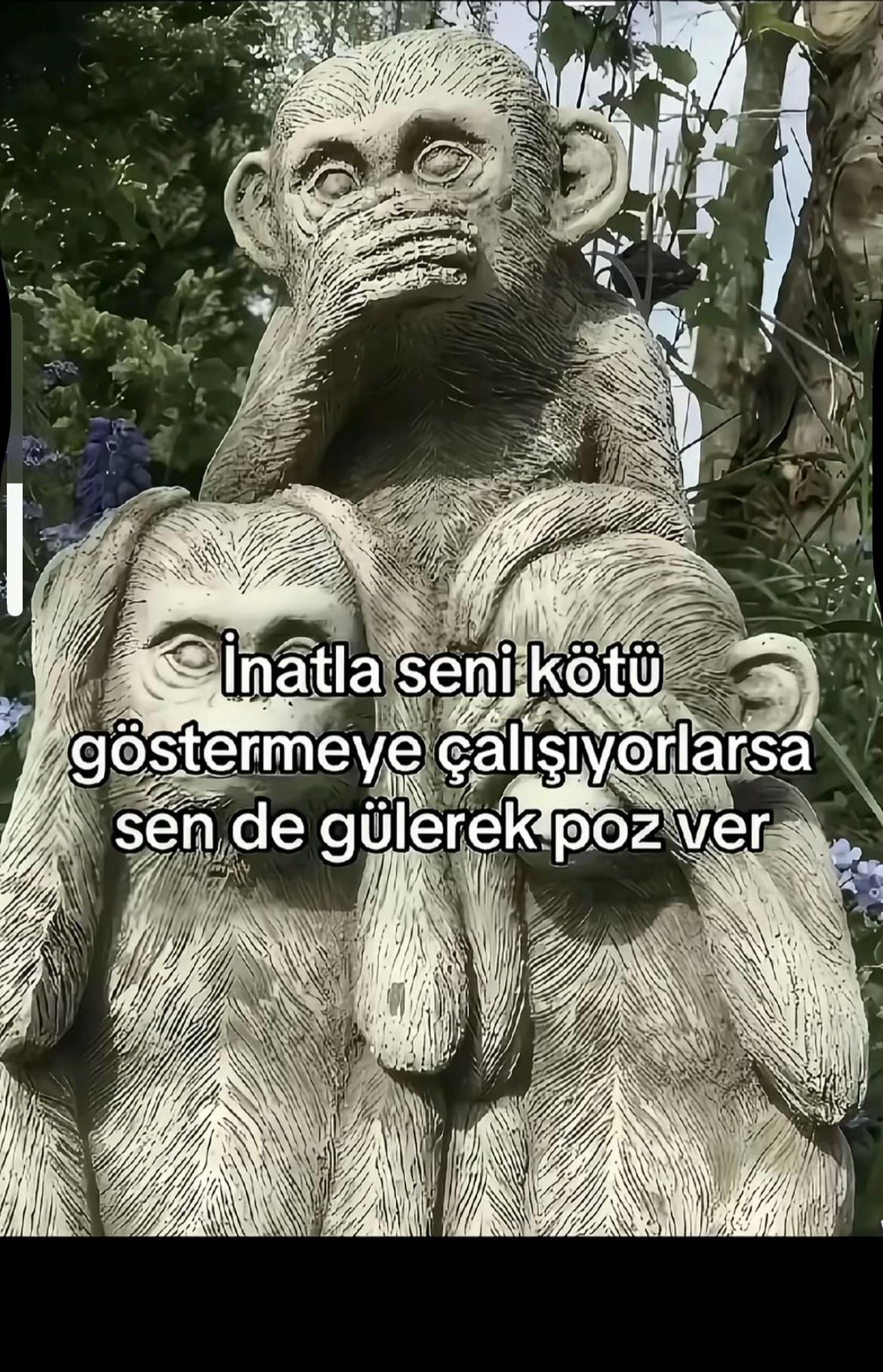 @Çınar yılmaz_27