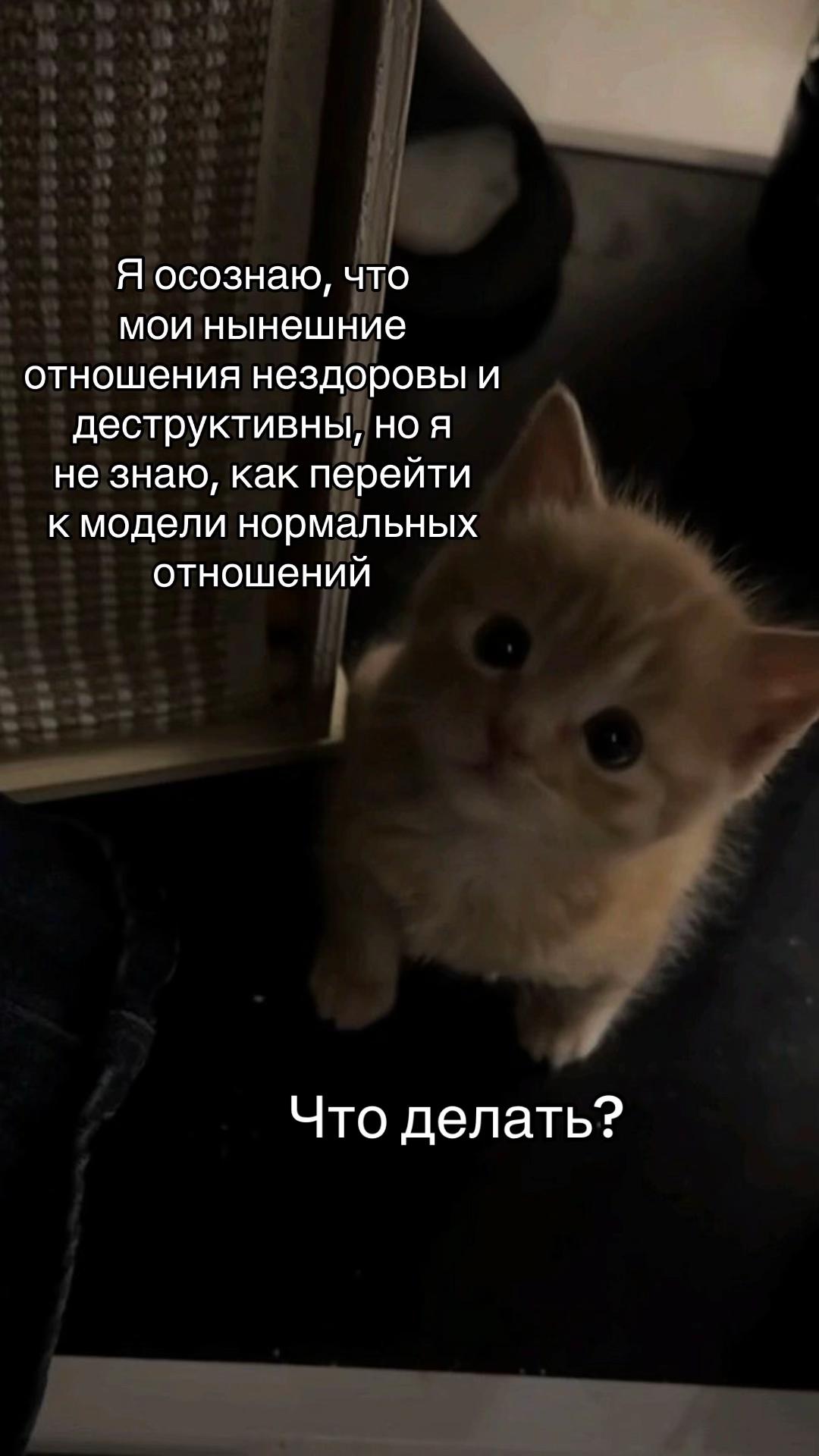 @тгк: психология с марго