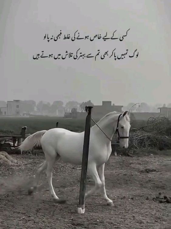 @✨zia🥷🏻⛎