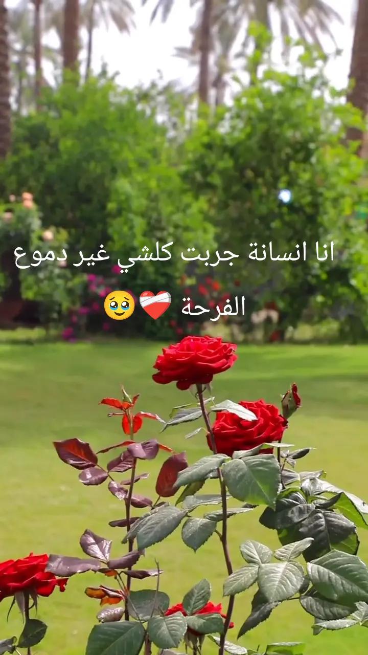 @maram M&eacute;lissa
