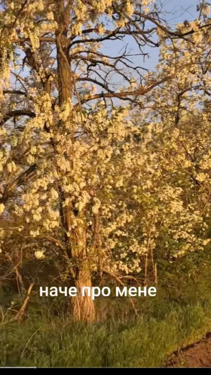 @Володимир ser888888888