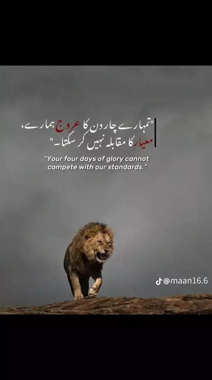 @💀مہر کہتے ہیں💀
