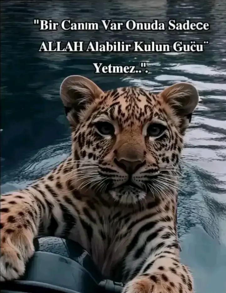@Y☀️ĞMUR