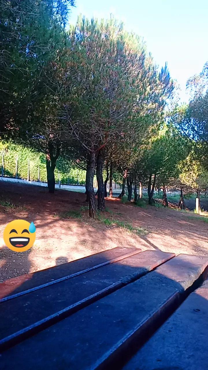 @hgfvjgfzgcxdzg