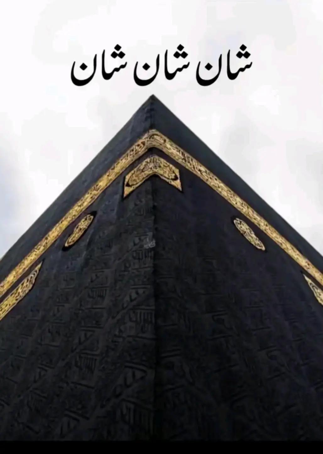@HUMAIR. 46🐯🐯