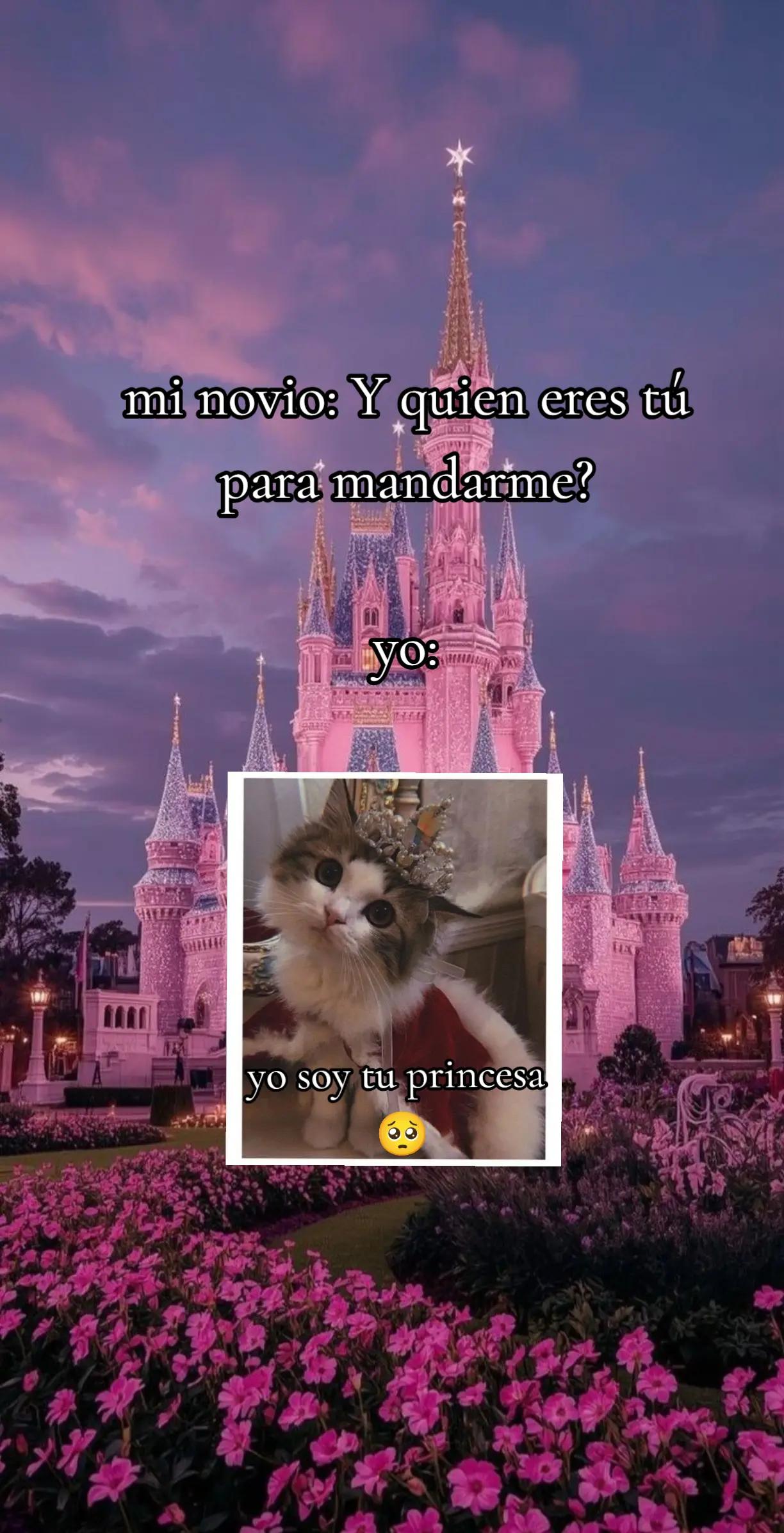 @ᥫ᭡𝐴𝑟𝑎𝑐𝑒𝑙𝑙𝑦✧⃝🩷🪽