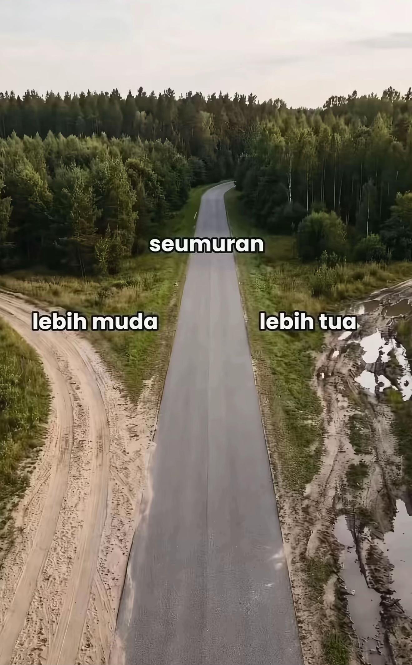 @Salma Novita
