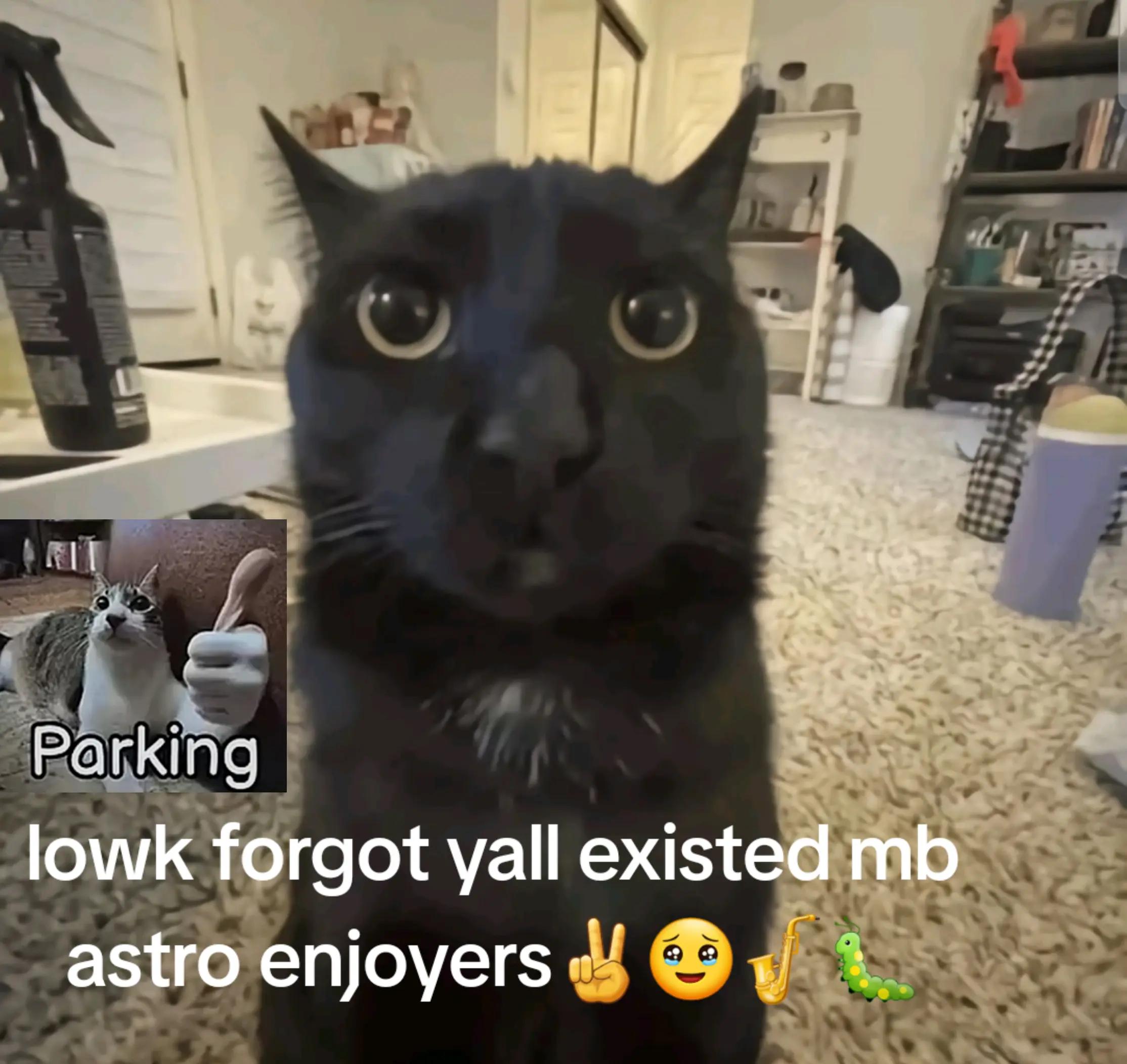 @🪐Astro Kitty🌌