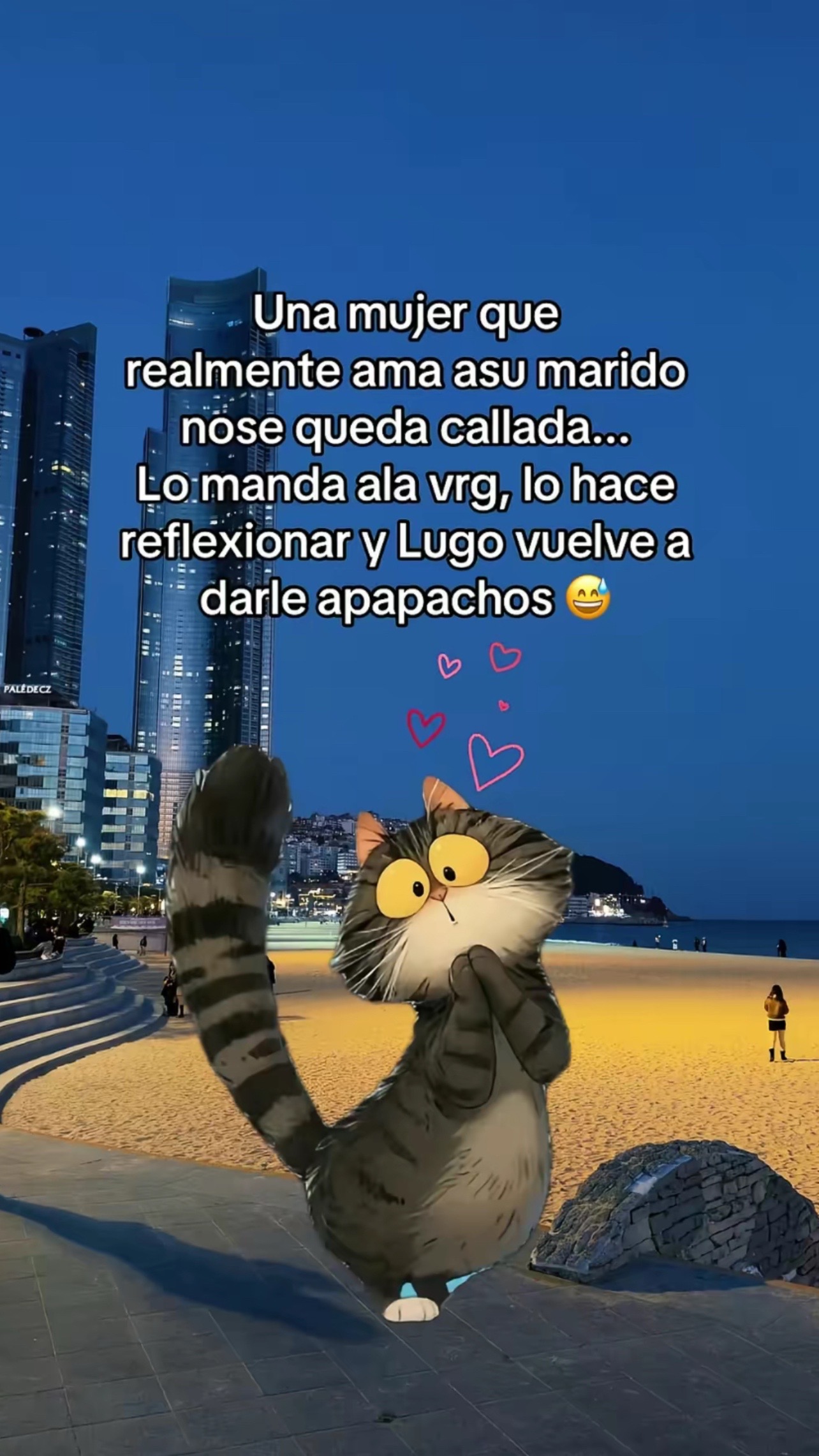 @Nicoll 🦋🦋