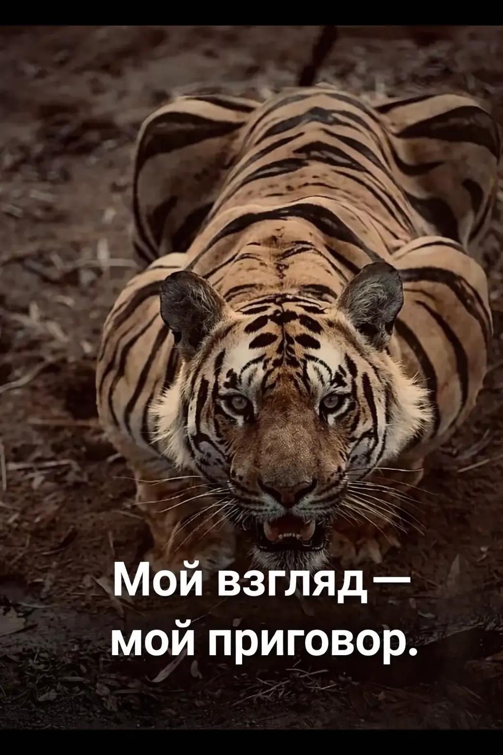 @𝙦𝙪𝙡𝙪𝙮𝙚𝙫 o3o