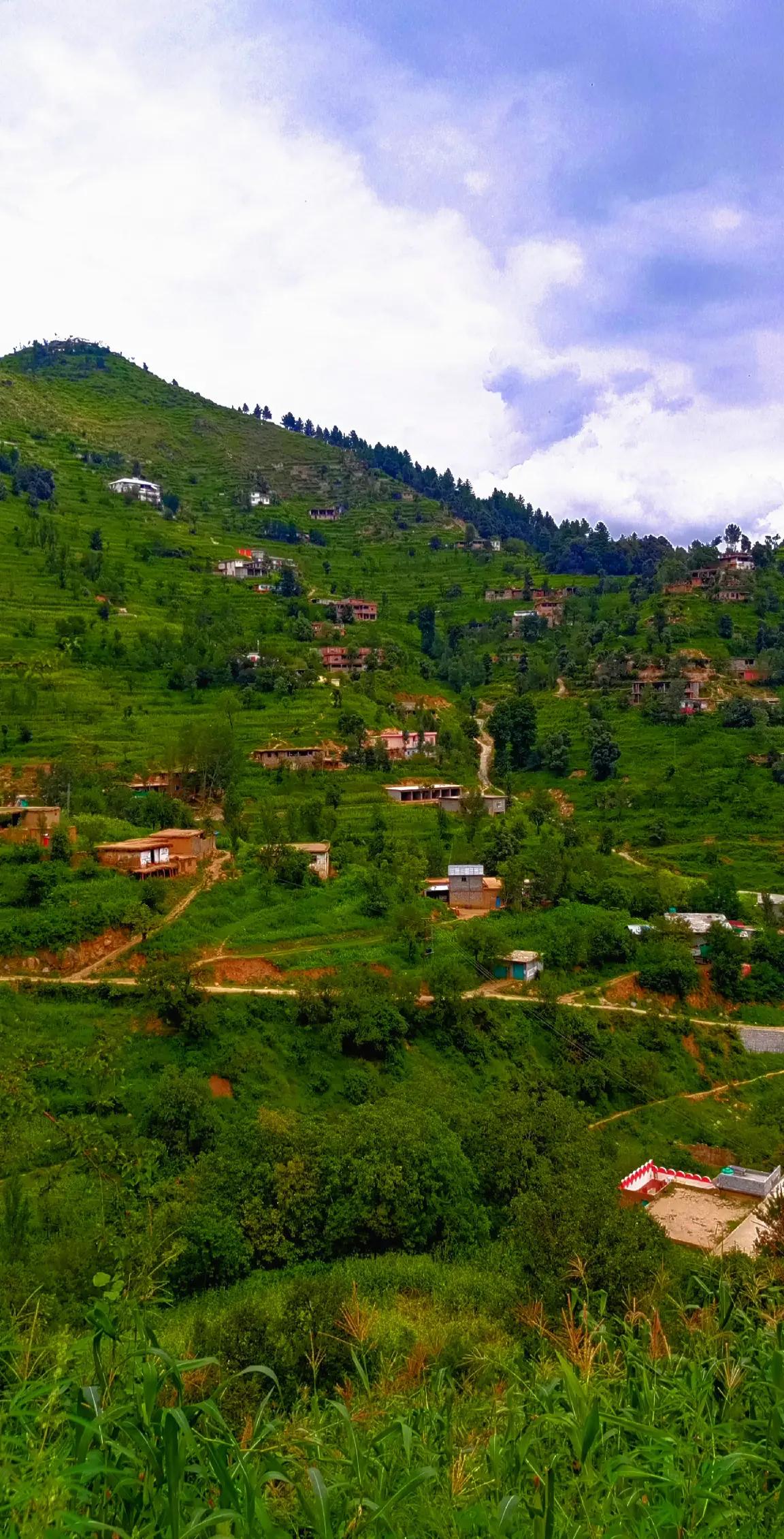 @🌲غر سنے 🌲