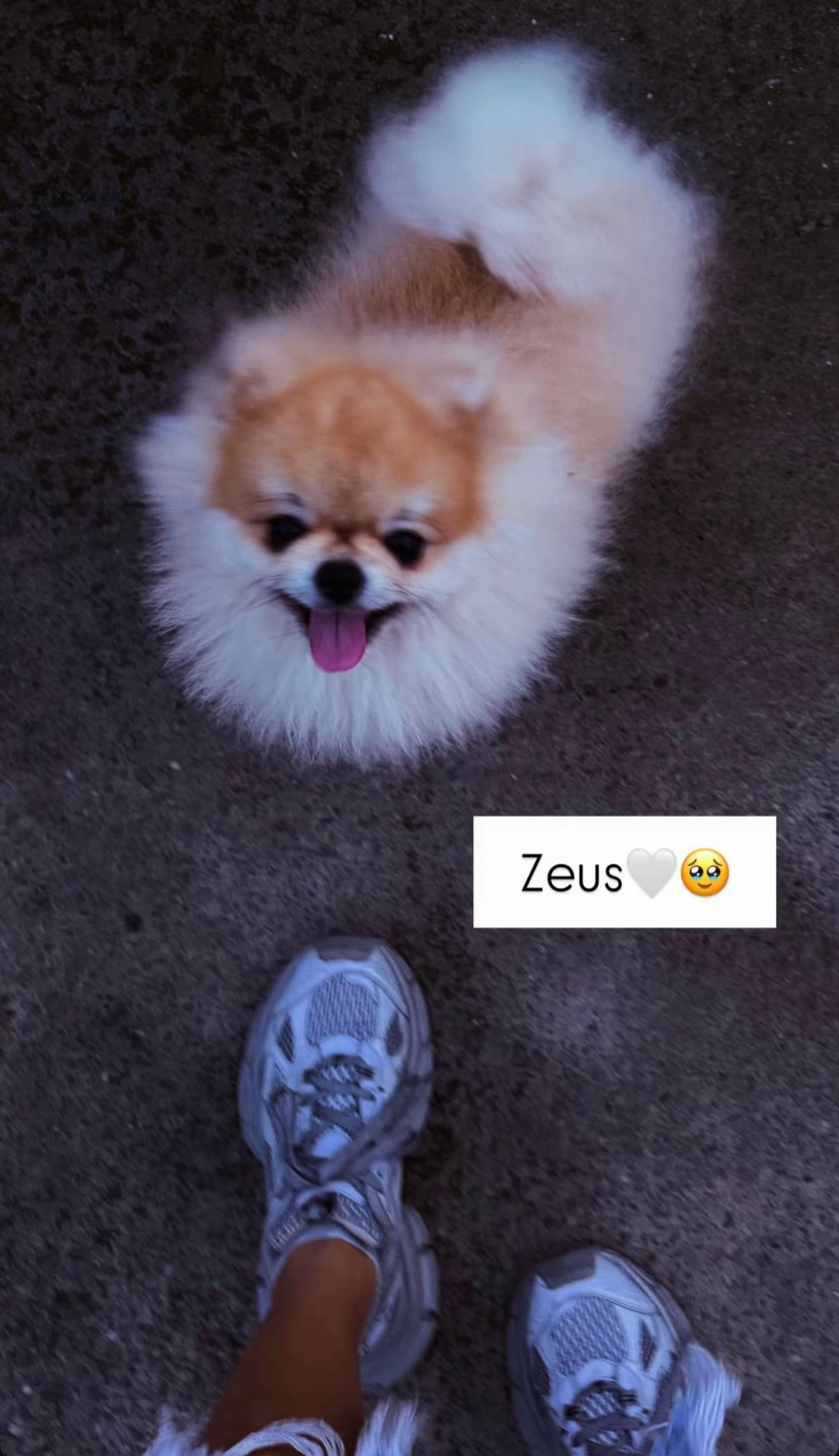 @Bianca Stoica 💙👑