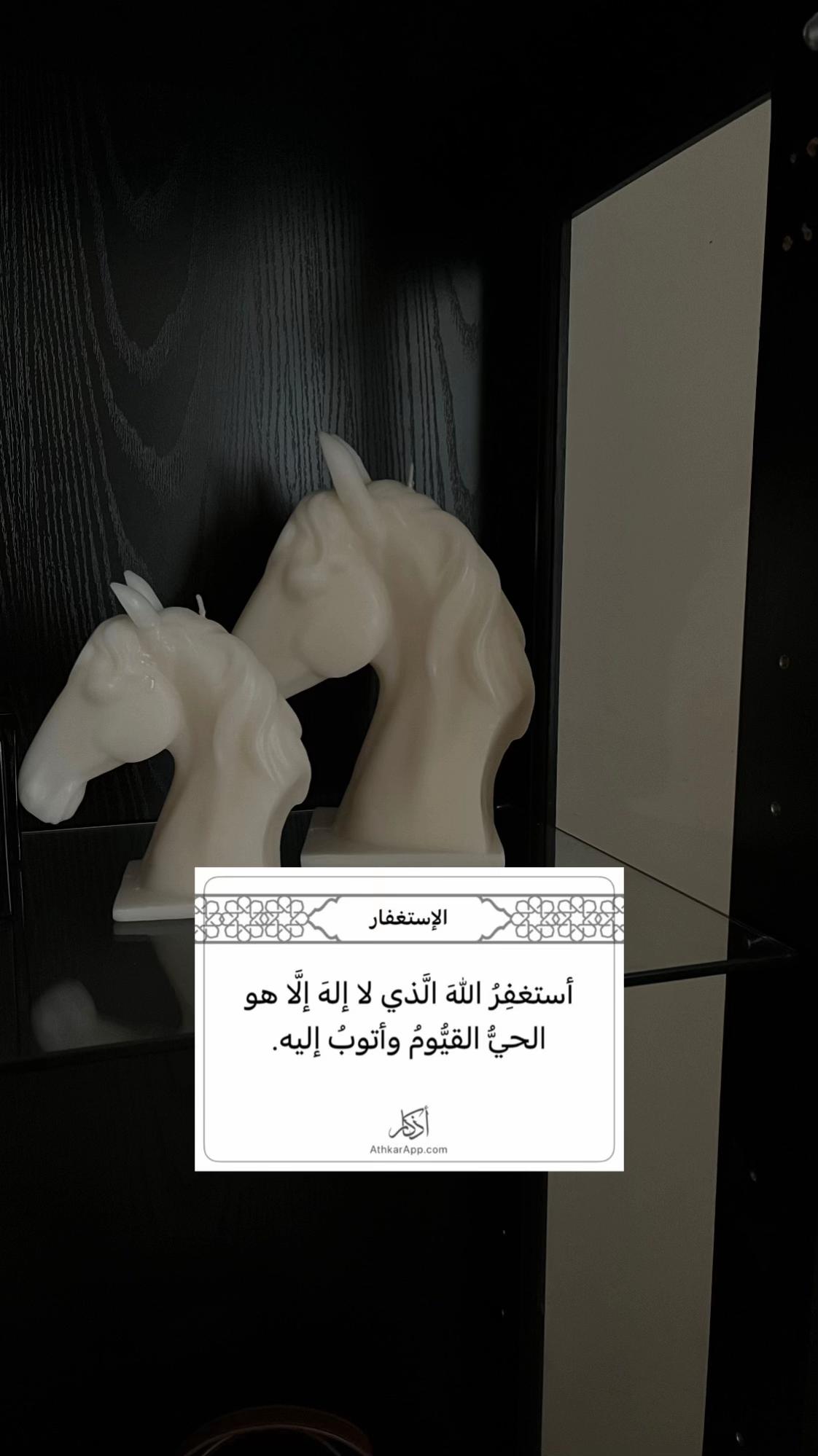 @All About Horses ♞