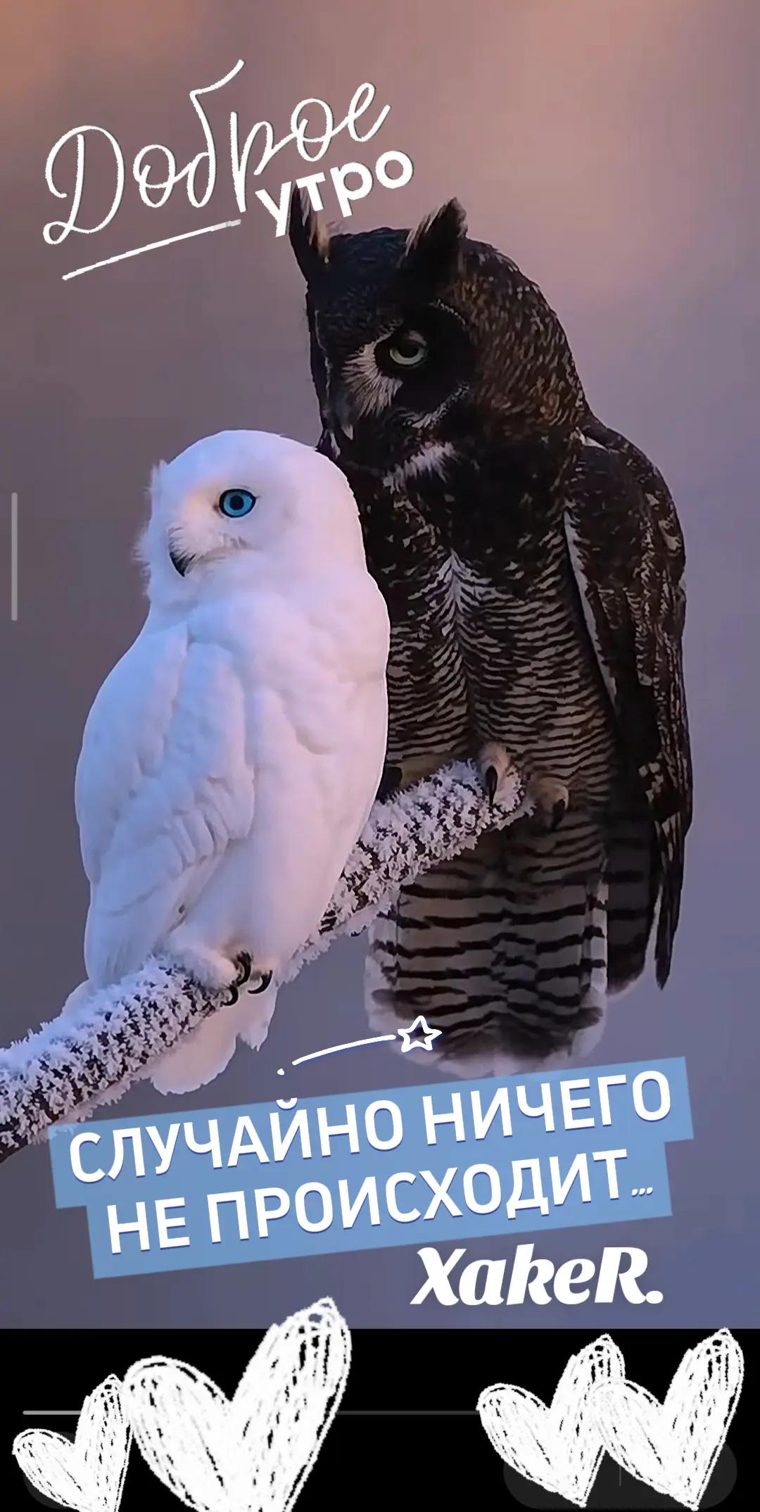 @NINA-WIOLET