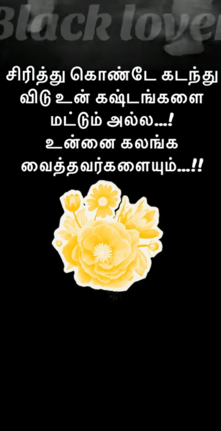 @user35065586394432